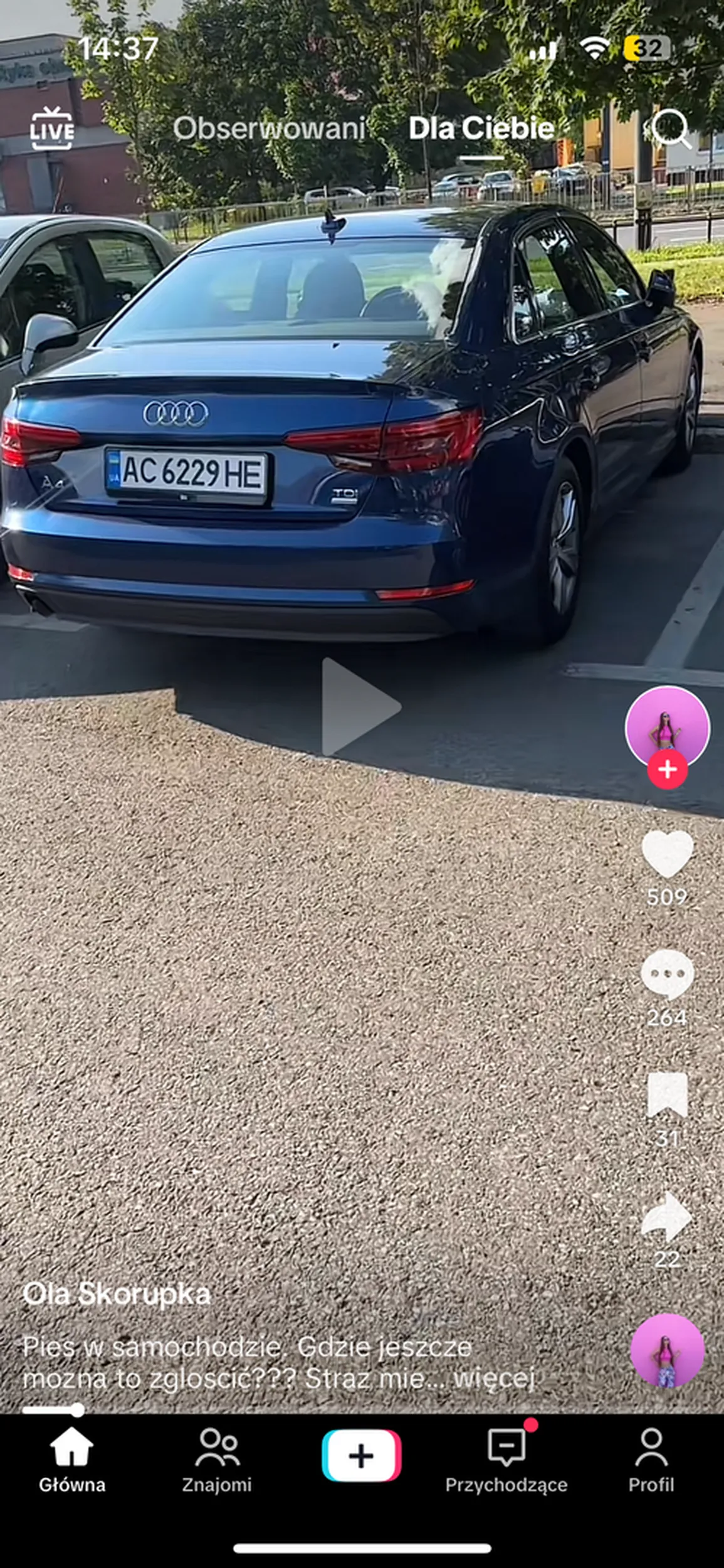 Zamknęli psa w aucie