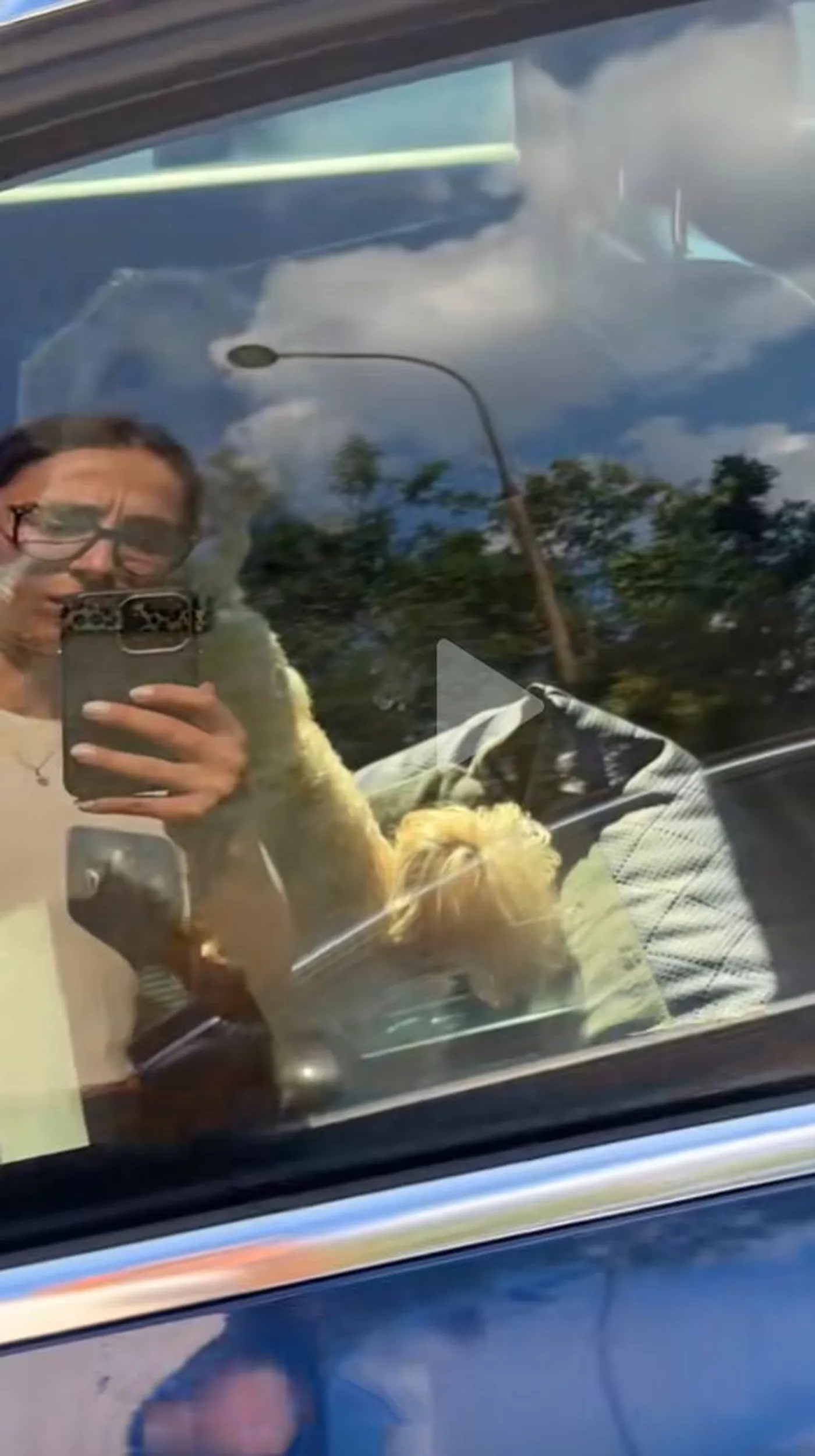 Zamknęli psa w aucie