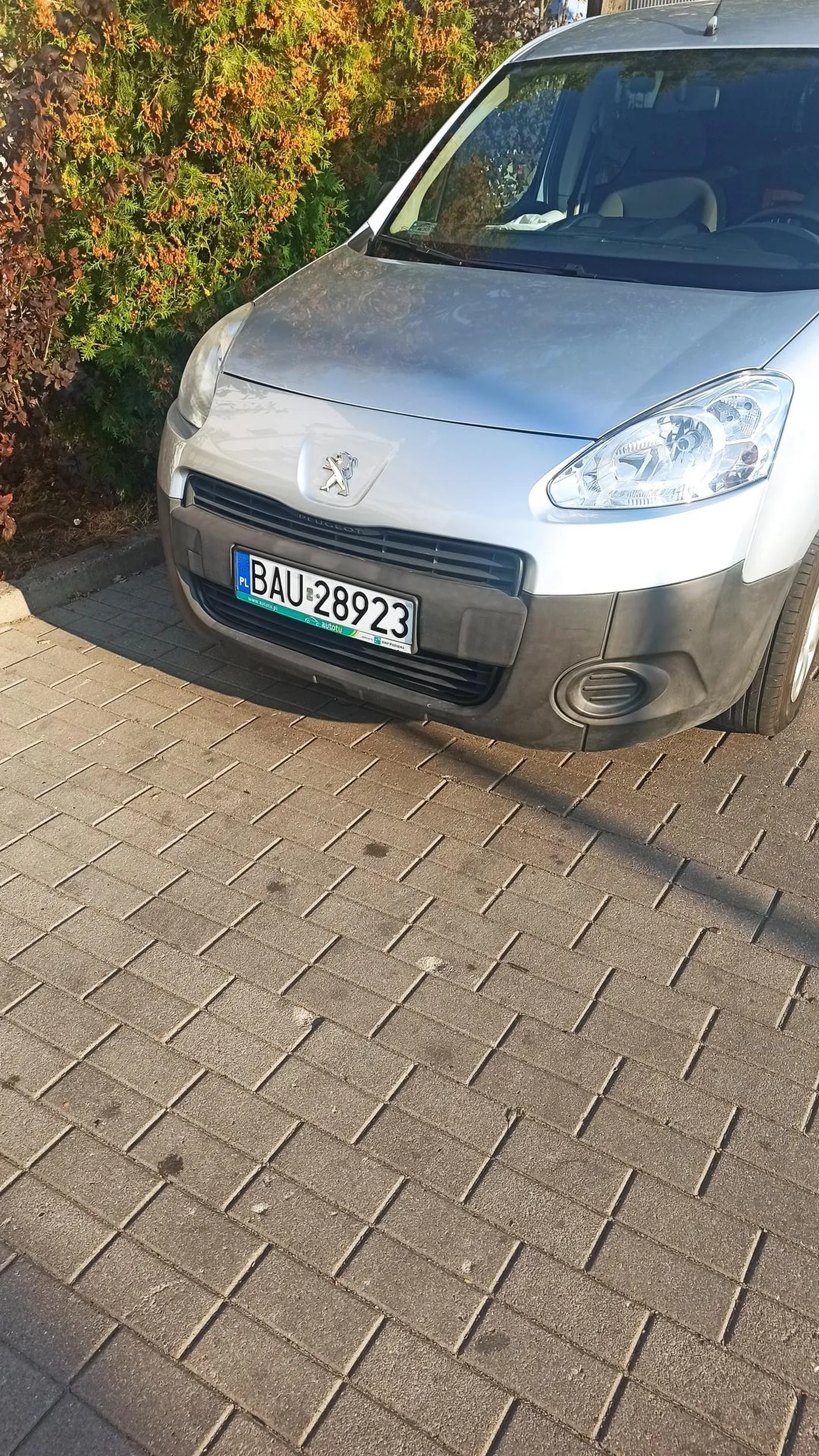 Parkuje jak osioł. Zastawia innym parking.