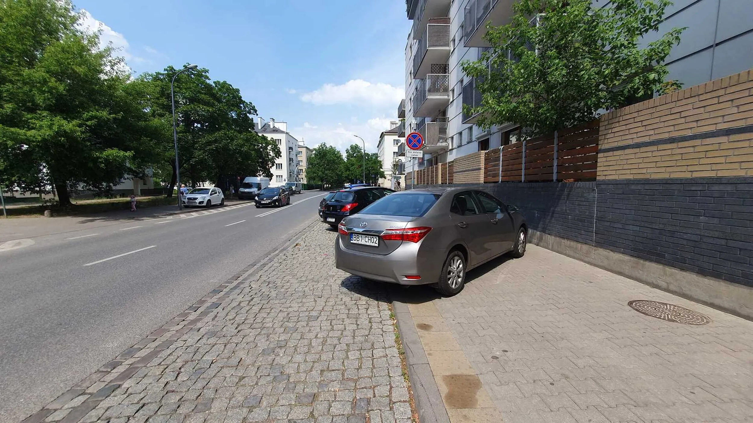 Beniz, który nie umie parkować