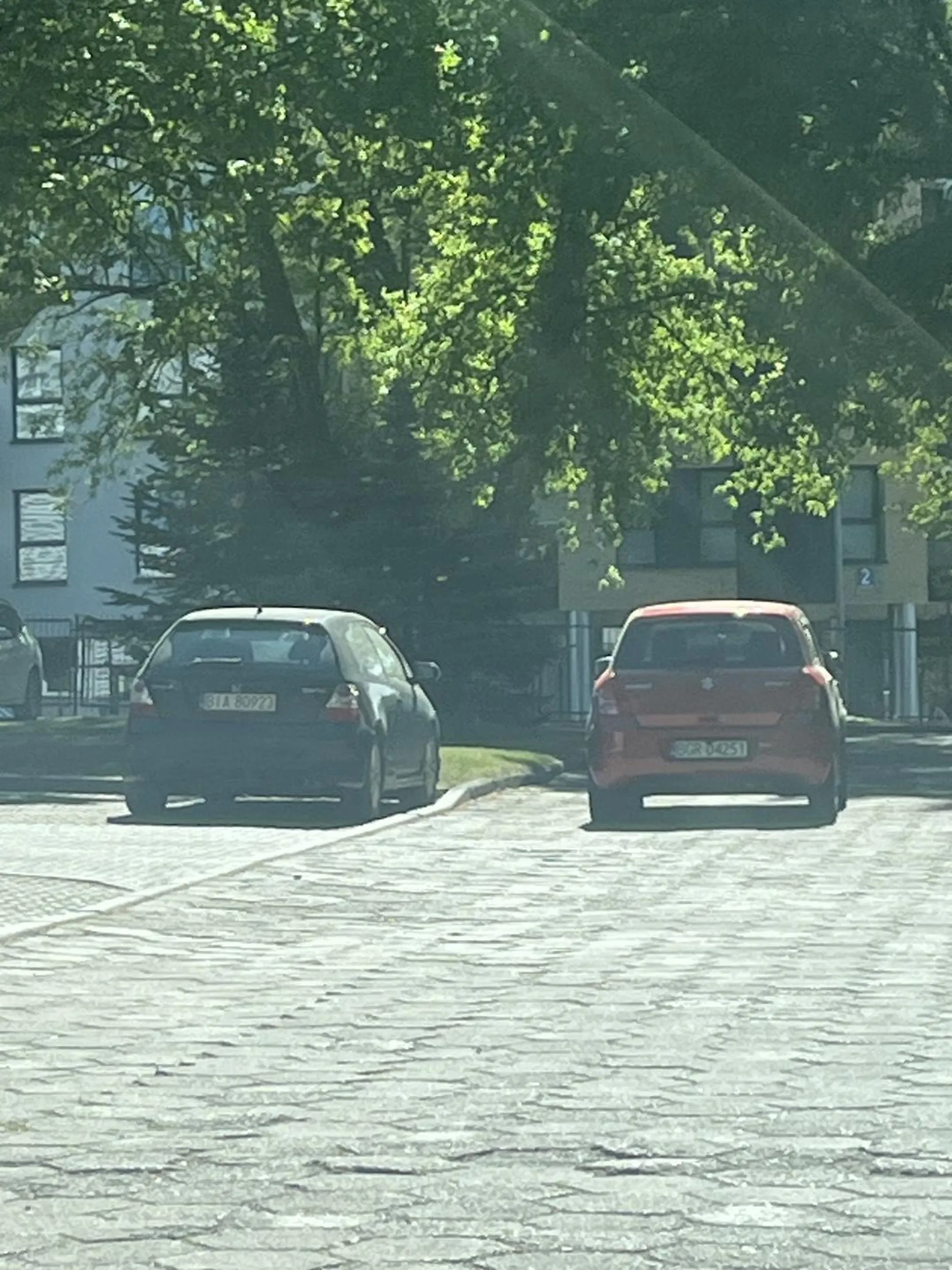 pozdrawiam mistrza parkowania