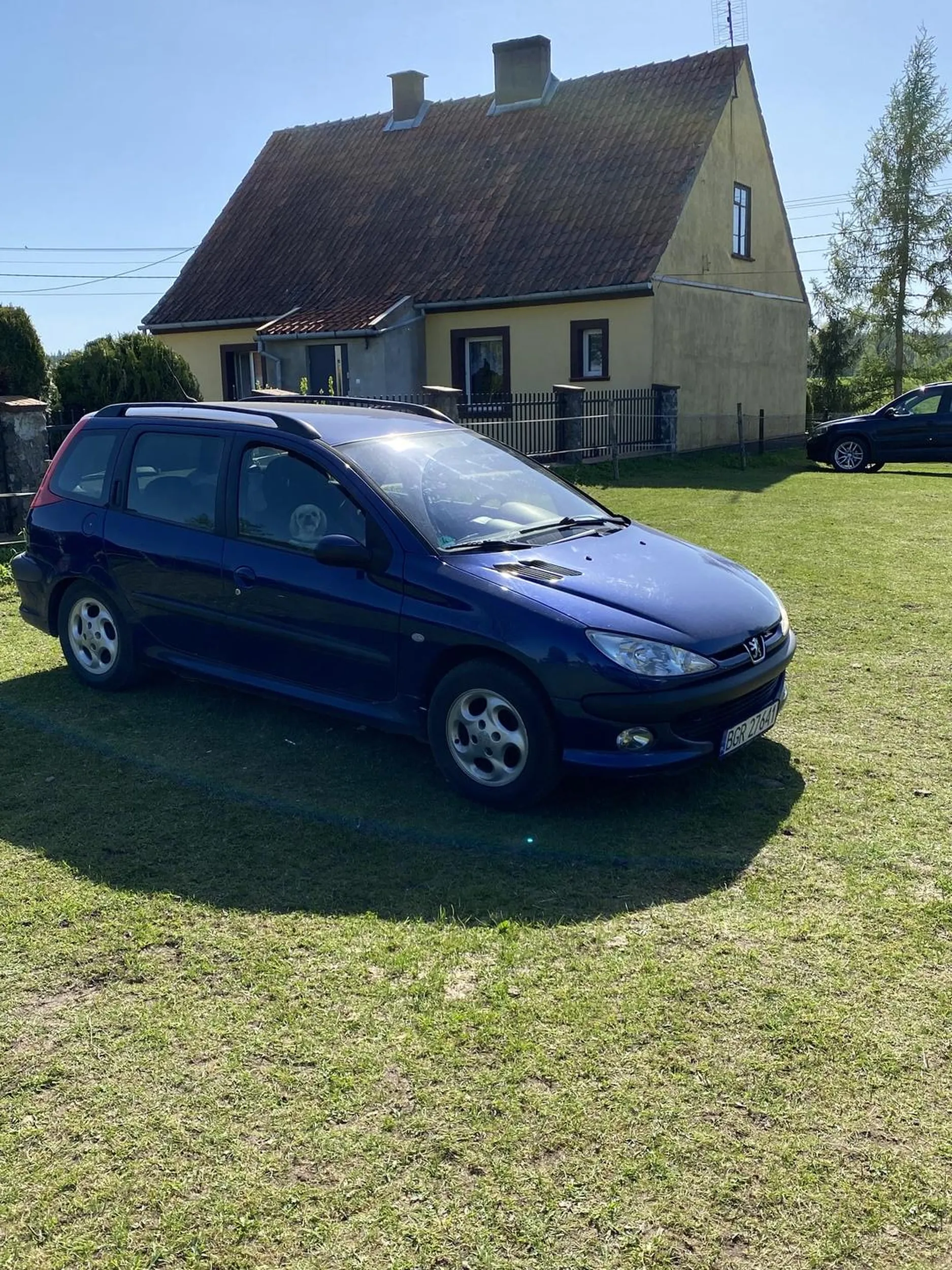 Gratuluję mózgu, pies zostawiony w nagrzanym aucie, a rodzinka poszła karmić alpaki. Oczywiście policja powiadomiona :)