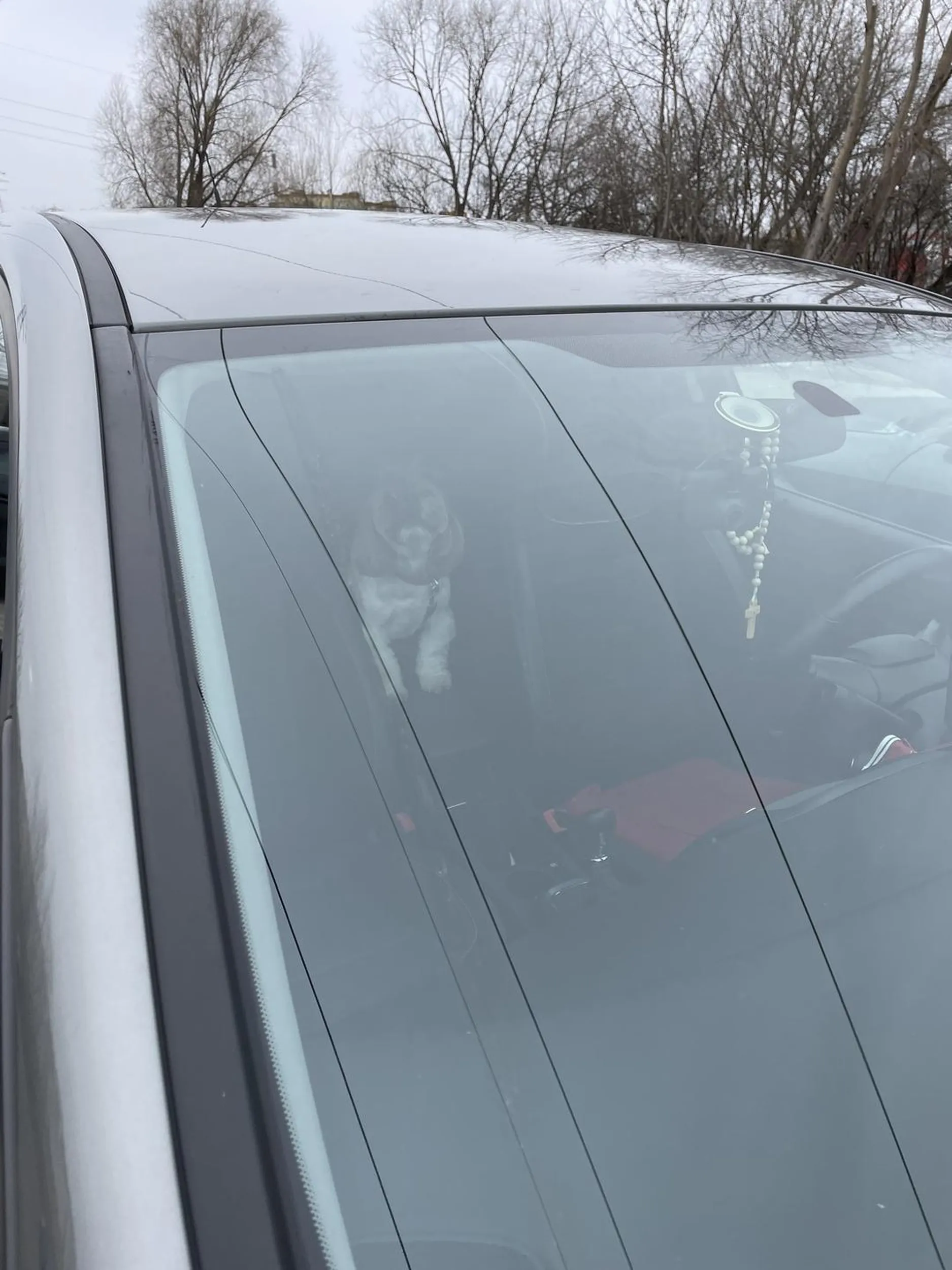 właściciel/włascicielka pozostawił/a psa zamkniętego w pojeździe na ponad godzinę w okolicy ulicy transportowej 3 a do tego różaniec w samochodzie na lusterku gratulacje oby was ktoś tak zostawił