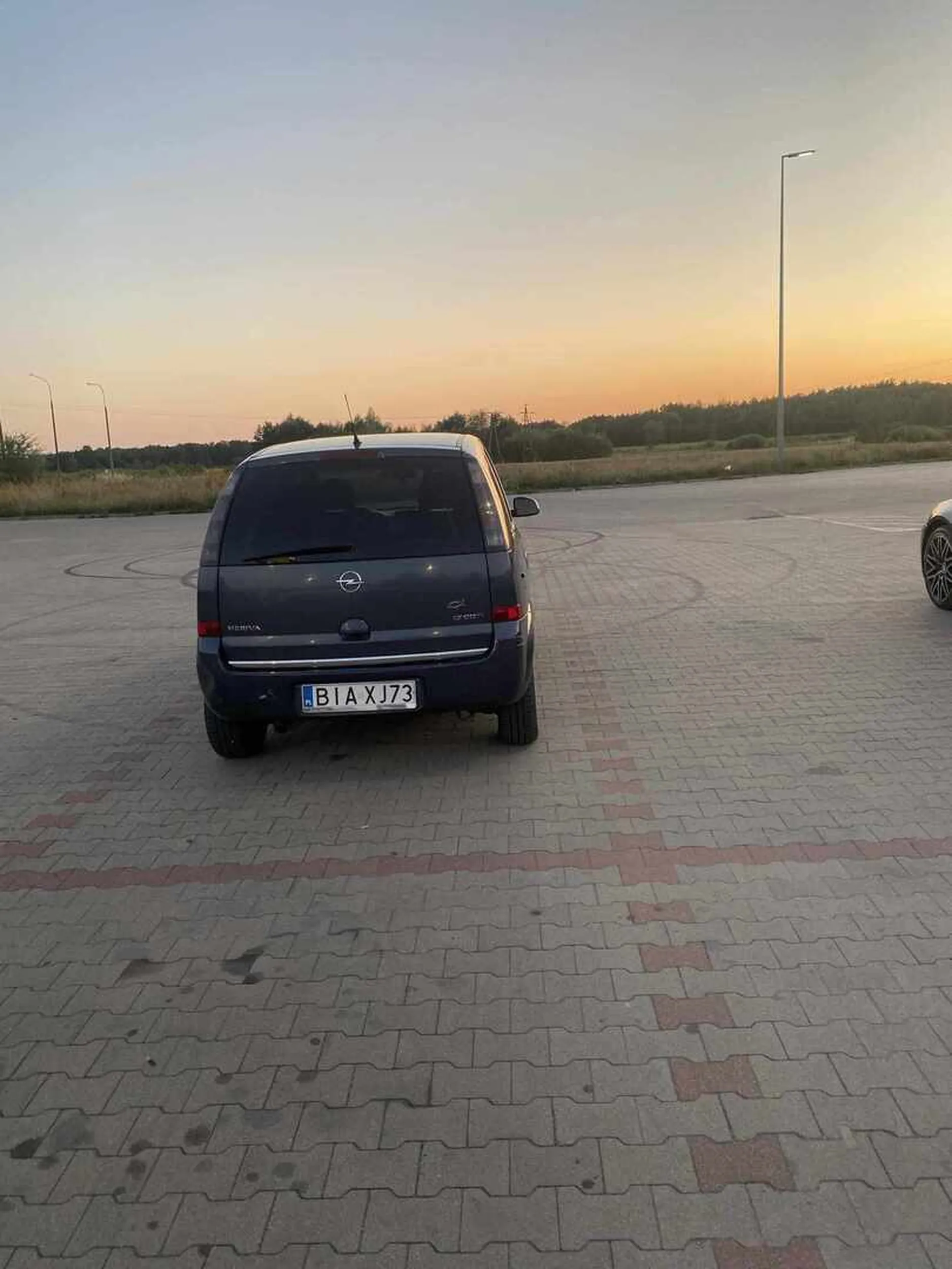 Mistrz/yni parkowania oplem