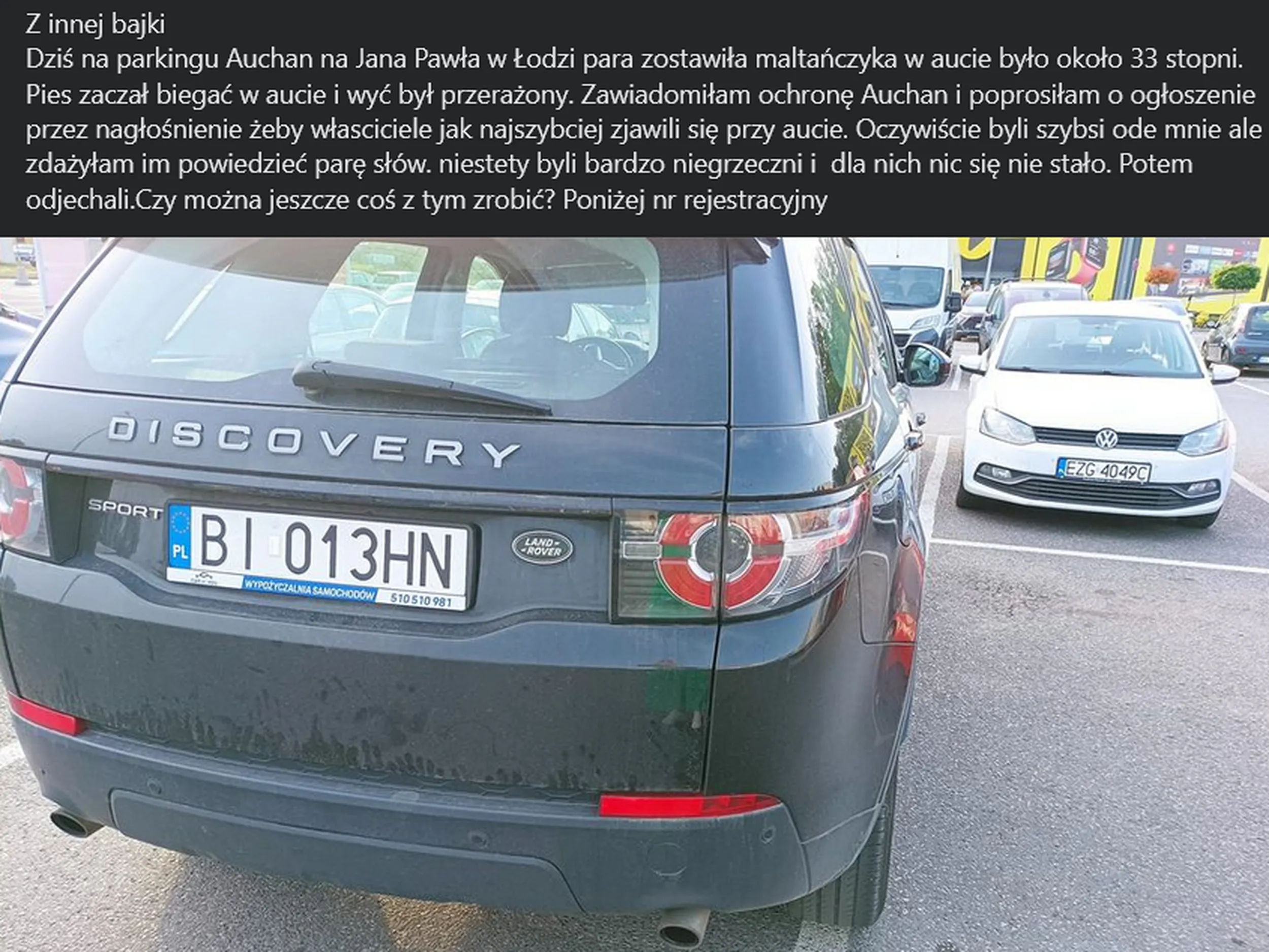 Miłośnik zwierząt na pokładzie.