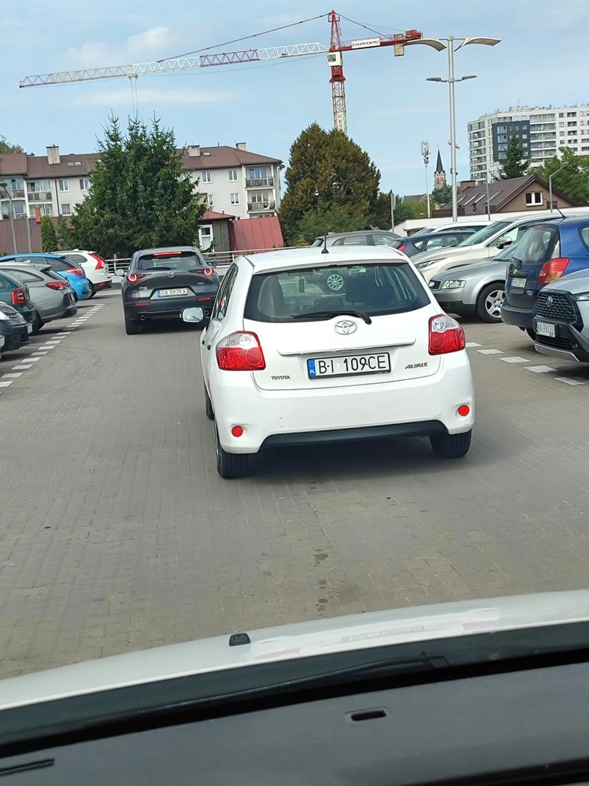 Gówniarz świeżo po prawku na STOPie jadąc w lewo myślał że miał pierwszeństwo no kasztan zero refleksji