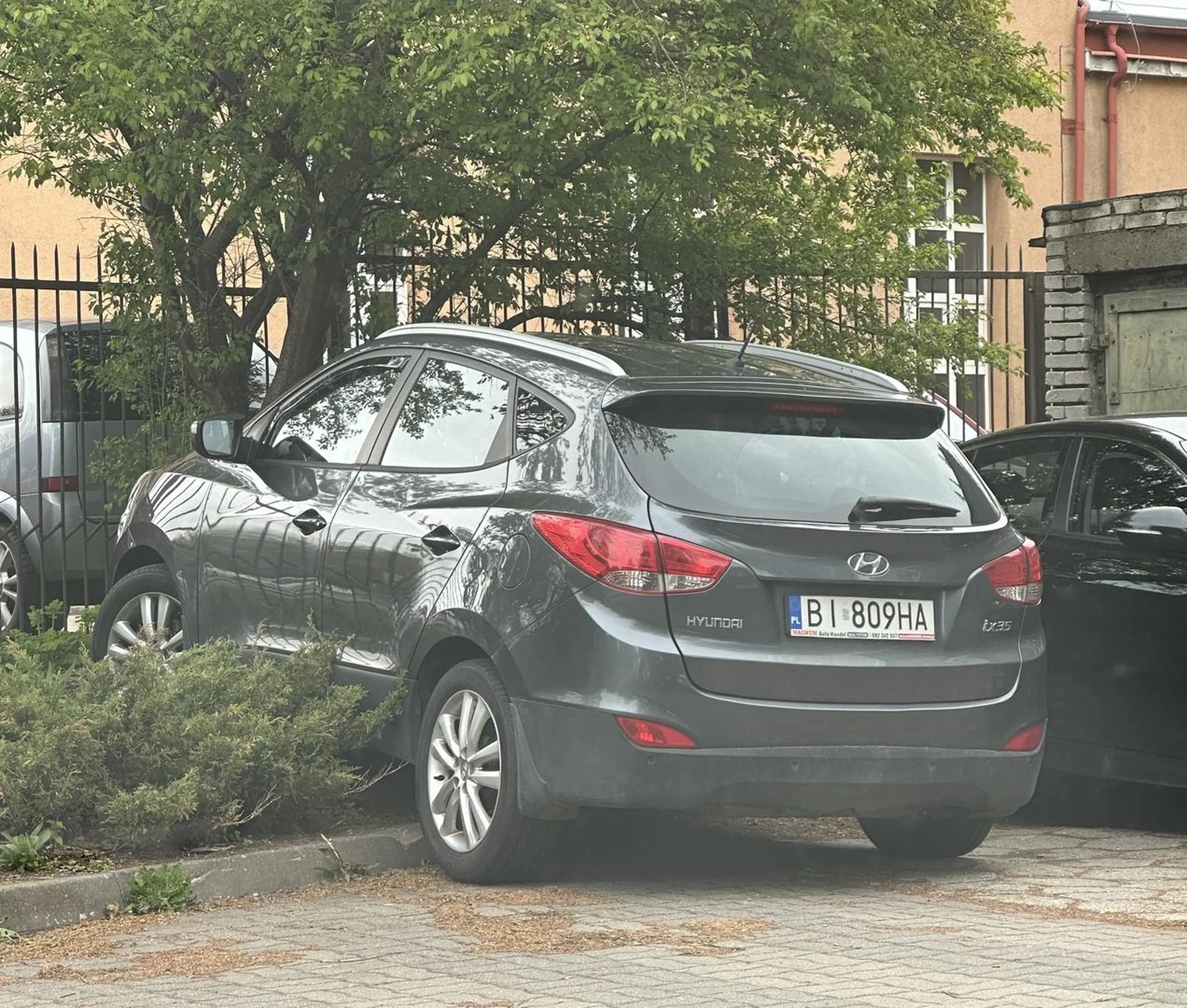 Jeszcze na drzewo wjedź tym swoim terenowym rydwanem