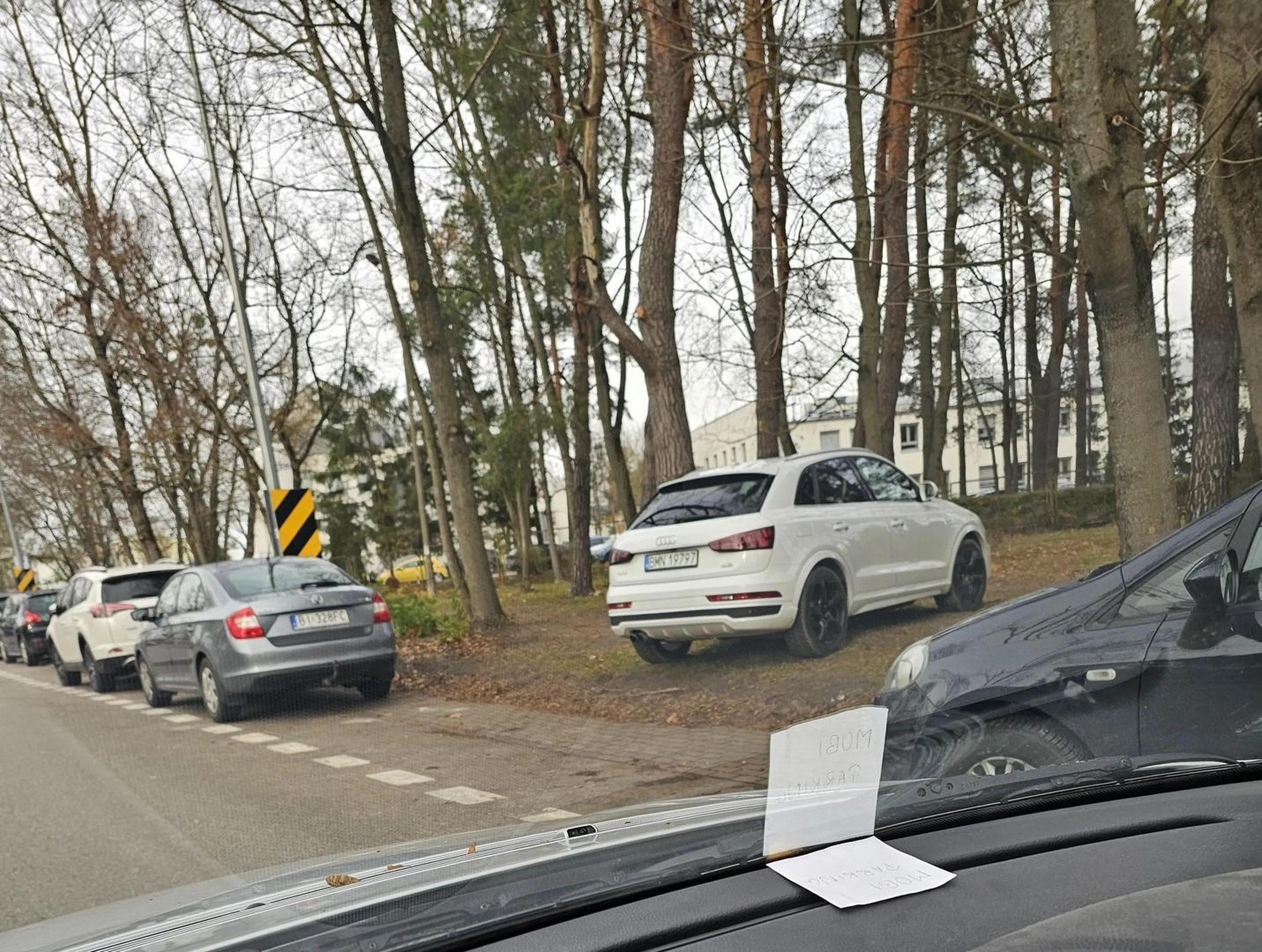 Wiadomo, że w Mońkach to jak w lesie.