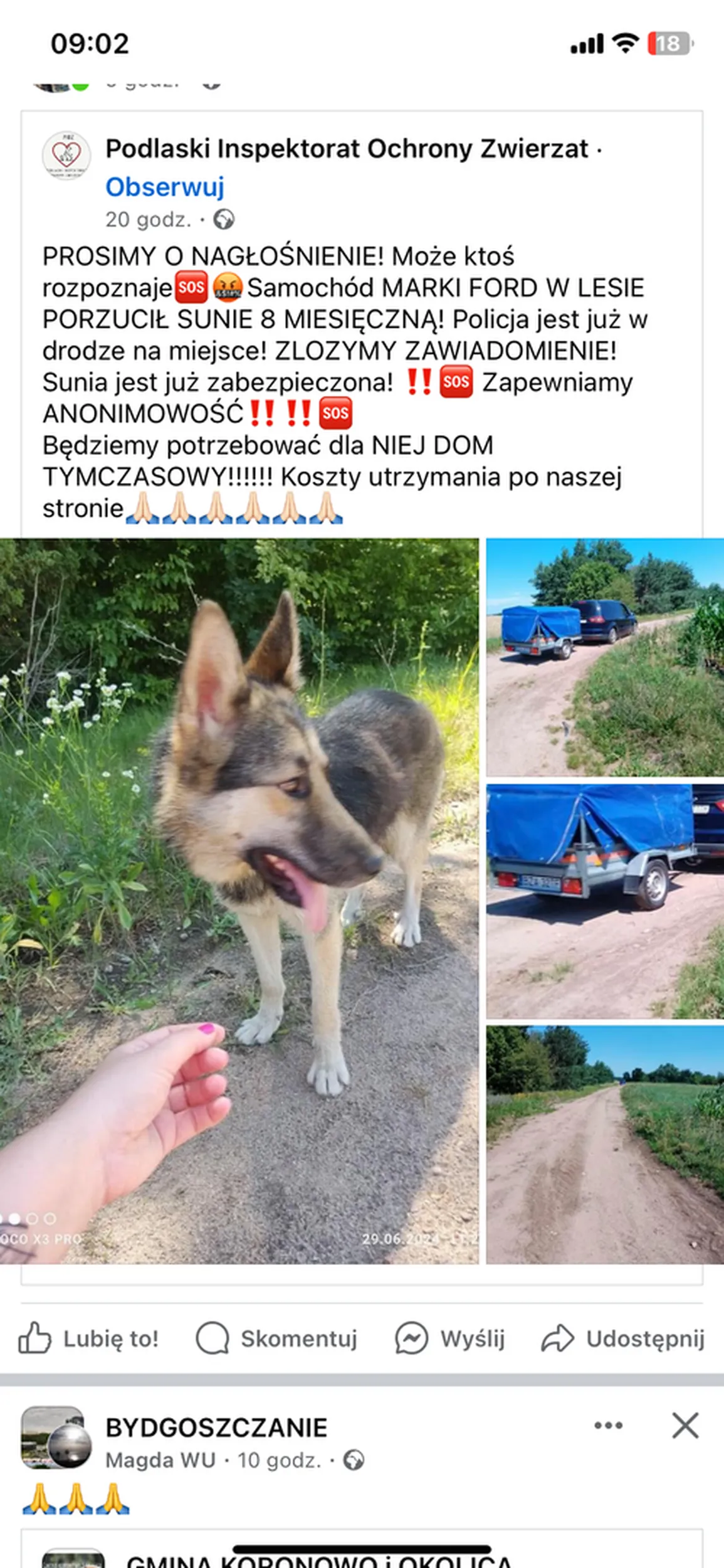 Gnój z tą rejestracją porzuca 8 miesięczne psie dziecko w lesie poszukiwany właściciel tych cudownych numerów w celu złożeń Gratualcji przez policję za codowna postawe