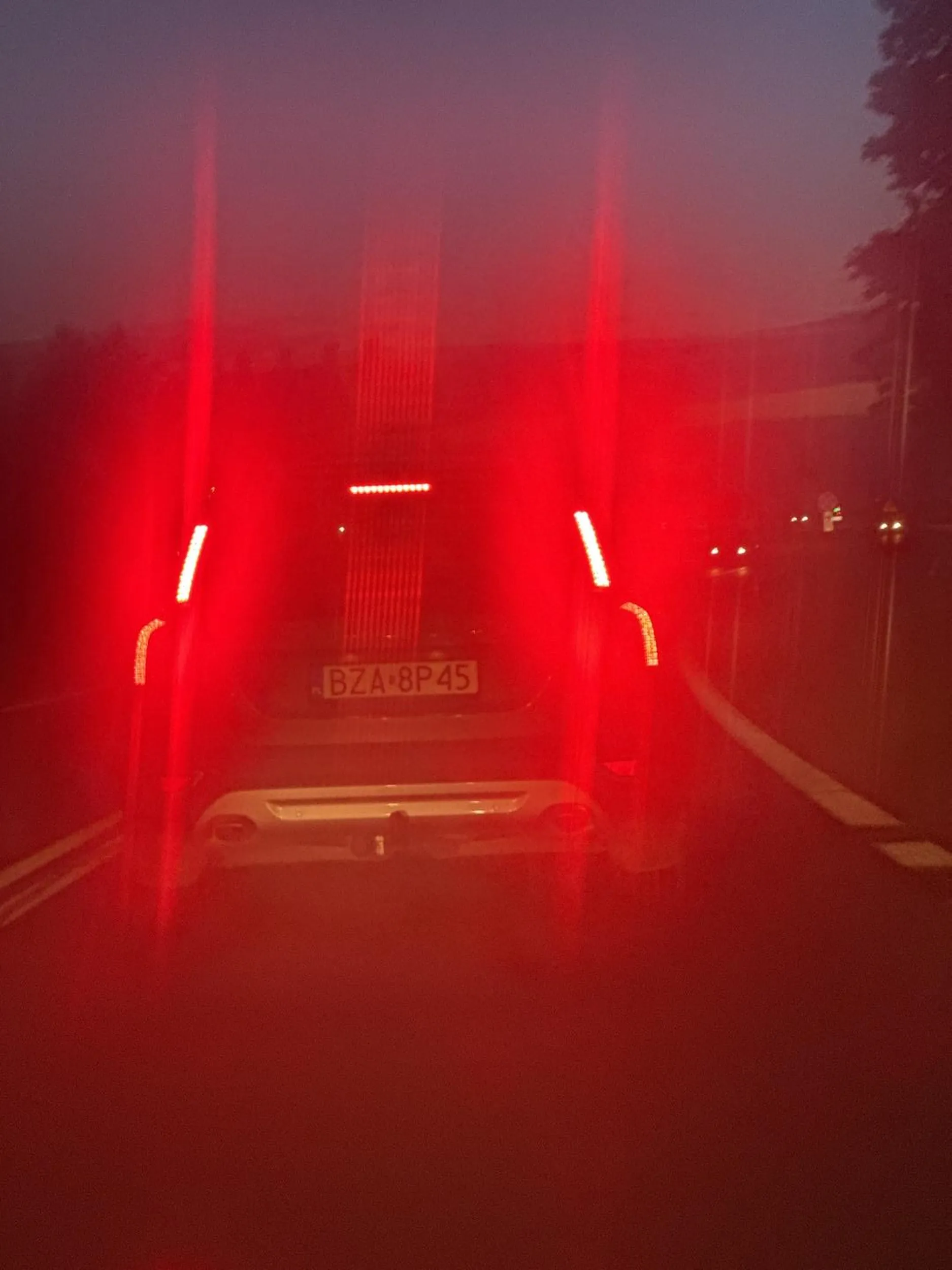 Zostawił psa przy jeżdżeniu, potrącił wiewiórkę i hamuje ruch gdy próbuje się go wyprzedzić! Nie pozdrawiam ???