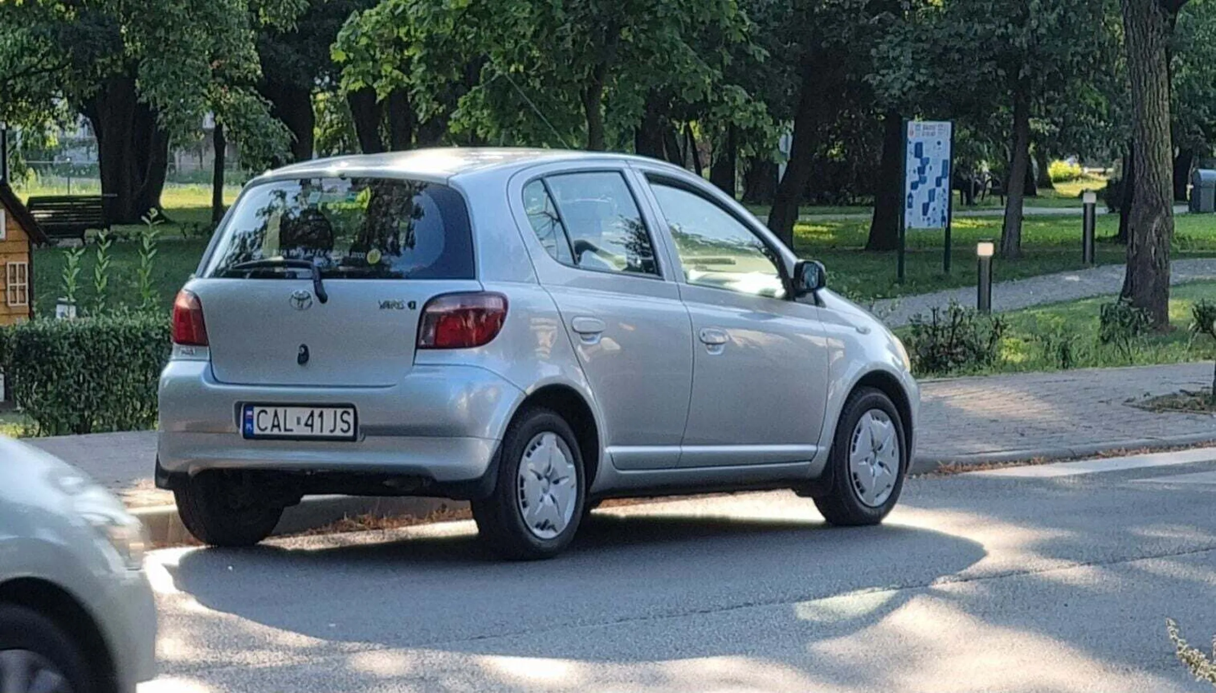 Aleksandrów Kujawski - Koleżanko z lodziarni nauczysz się nie parkować przy przejściu ?