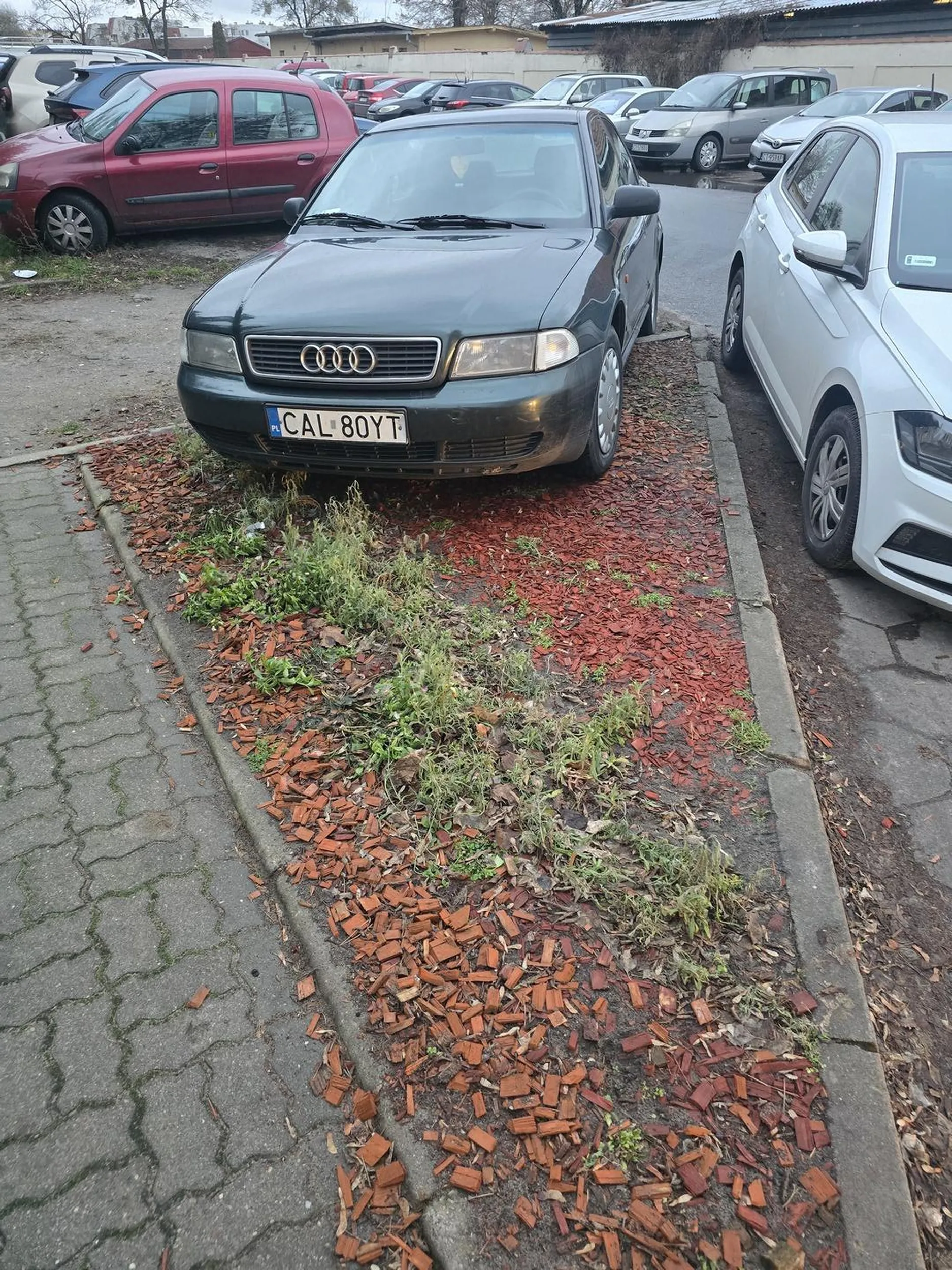 Kierowca zapomniał, że nie zastawia się bramy wjazdowej. Dodatkowo wjechał w kwiaty, które ktoś pielęgnował i starał się aby ładnie wyglądało.