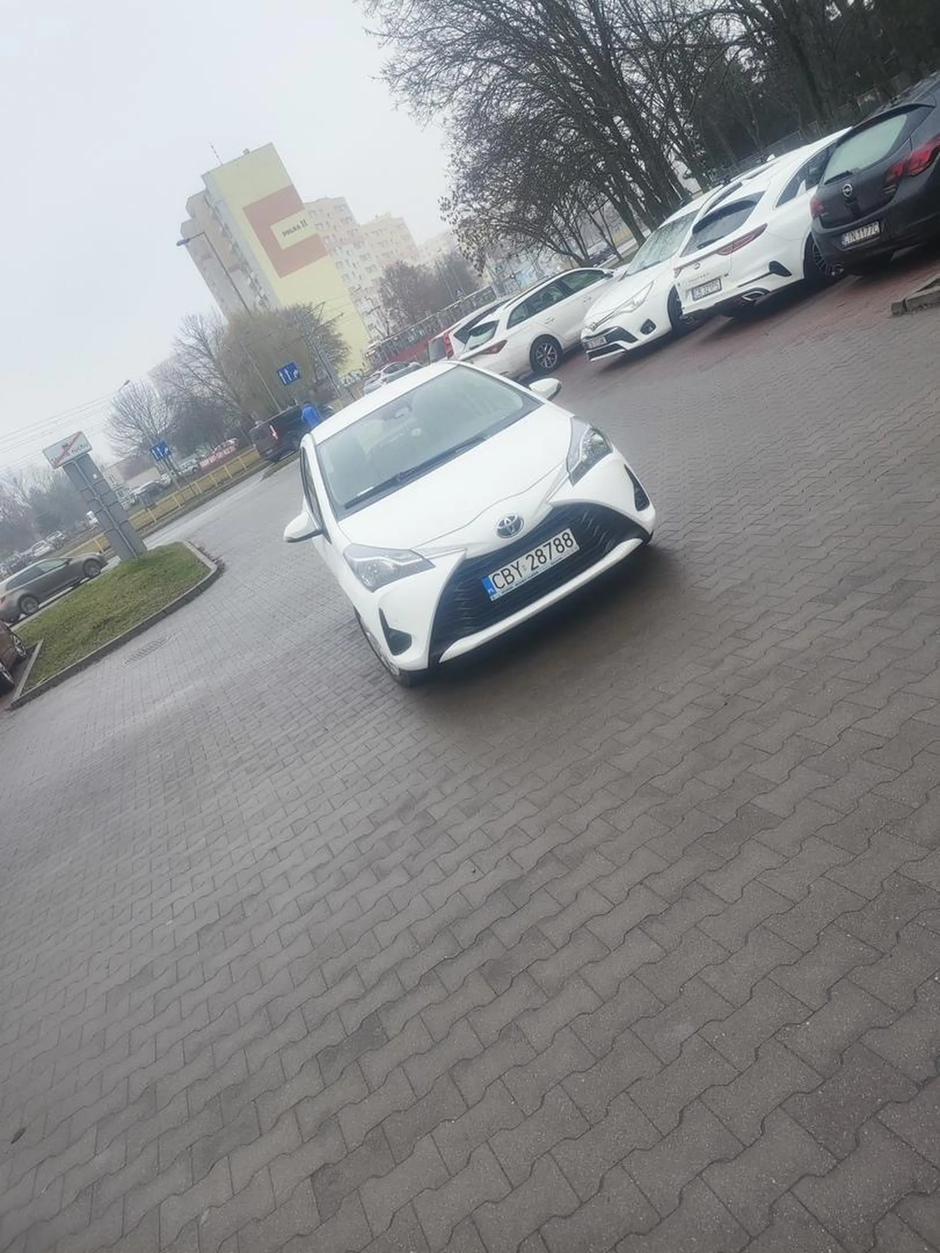 Mistrzyni parkowania, gratuluję!