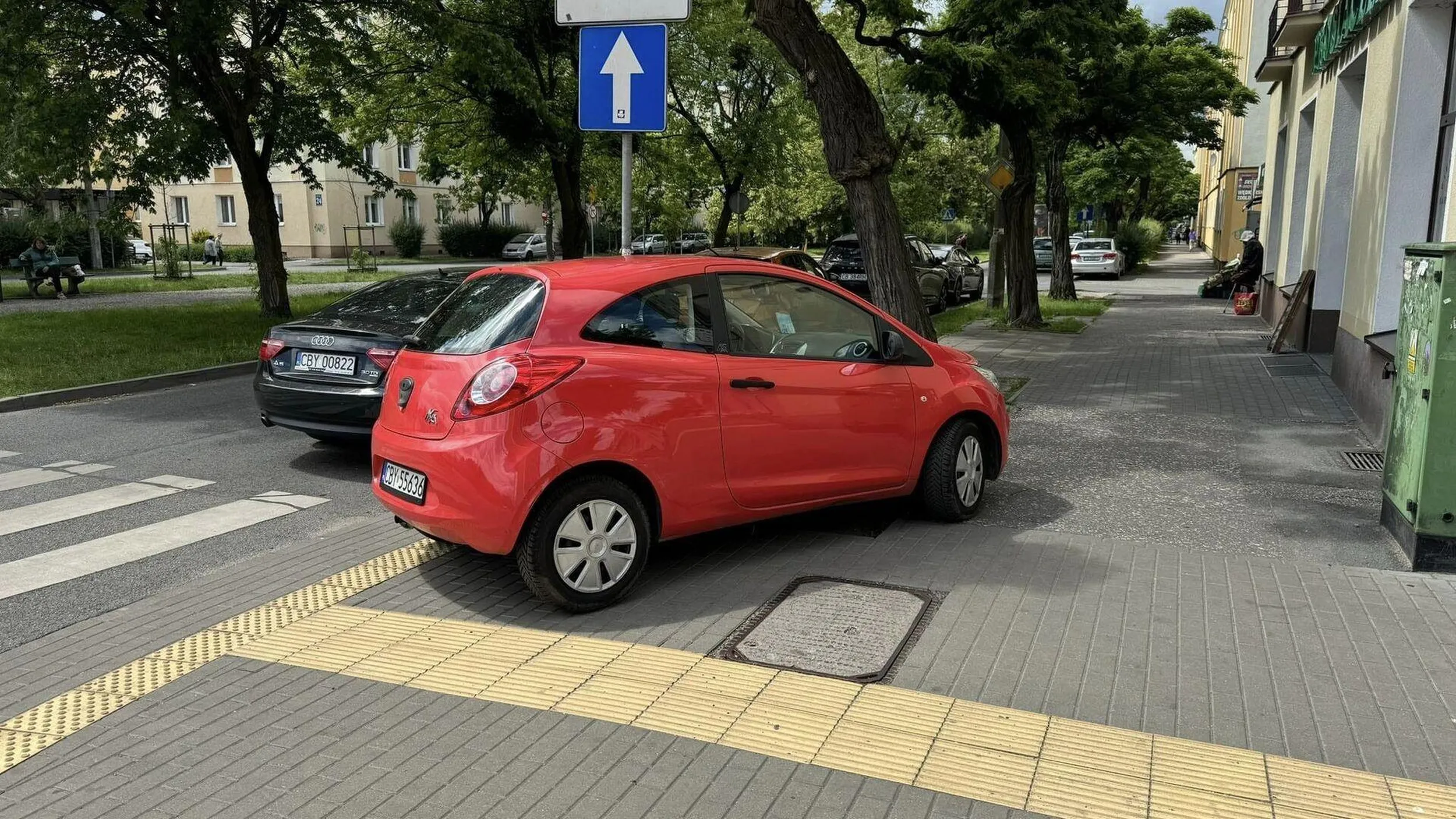 Kompletny brak poszanowania dla przepisów drogowych. Na skrzyżowaniu, na przejściu dla pieszych, na chodniku, na trawniku, na płytkach naprowadzających dla niewidomych, bo kierująca musiała skoczyć do mięsnego!