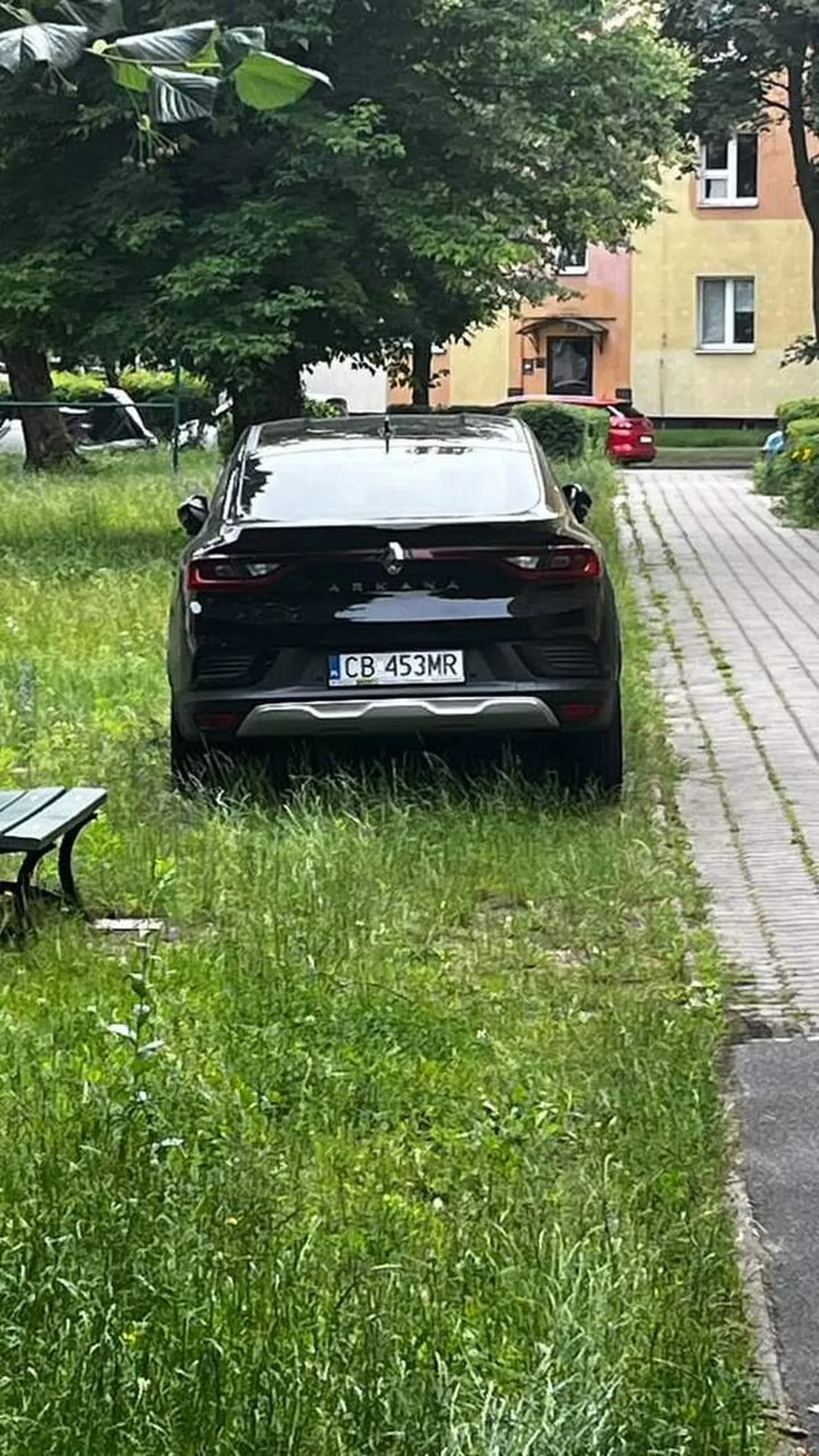 Piękna kosiarka na Czerkaskiej.