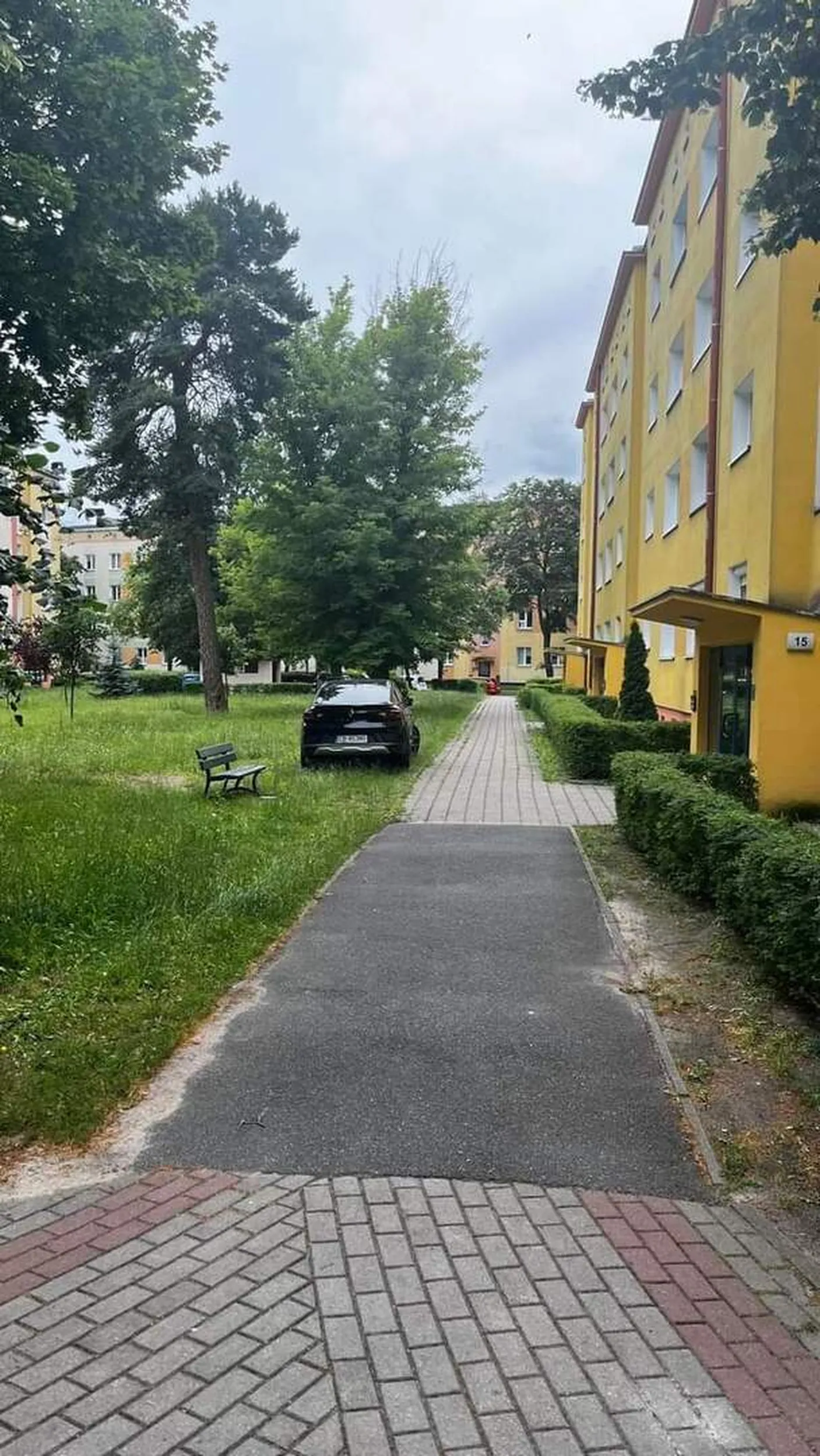 Piękna kosiarka na Czerkaskiej.