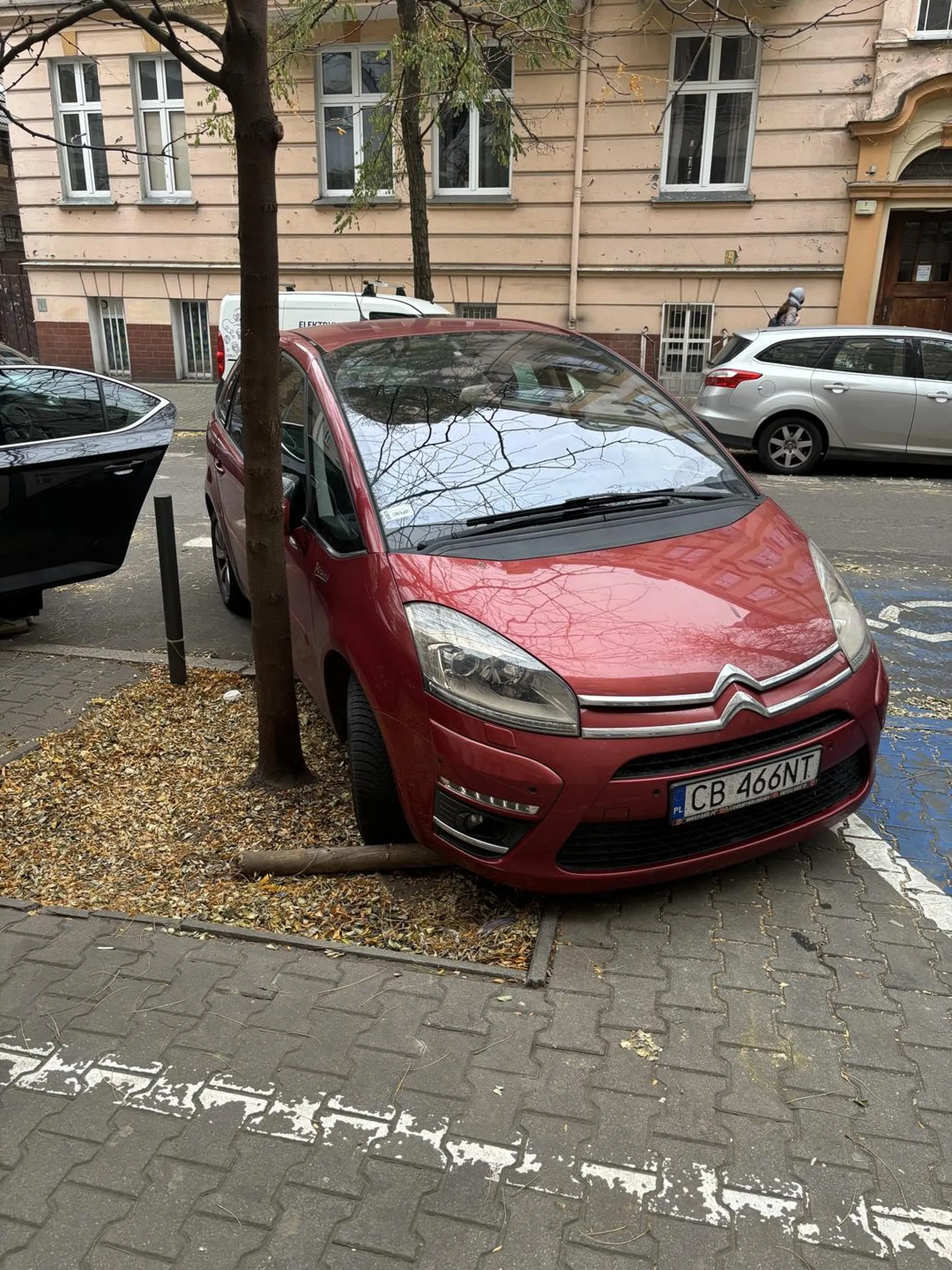 Co tam rośliny i drzewa, ważne że miejsce na mojego gruza się znalazło.
