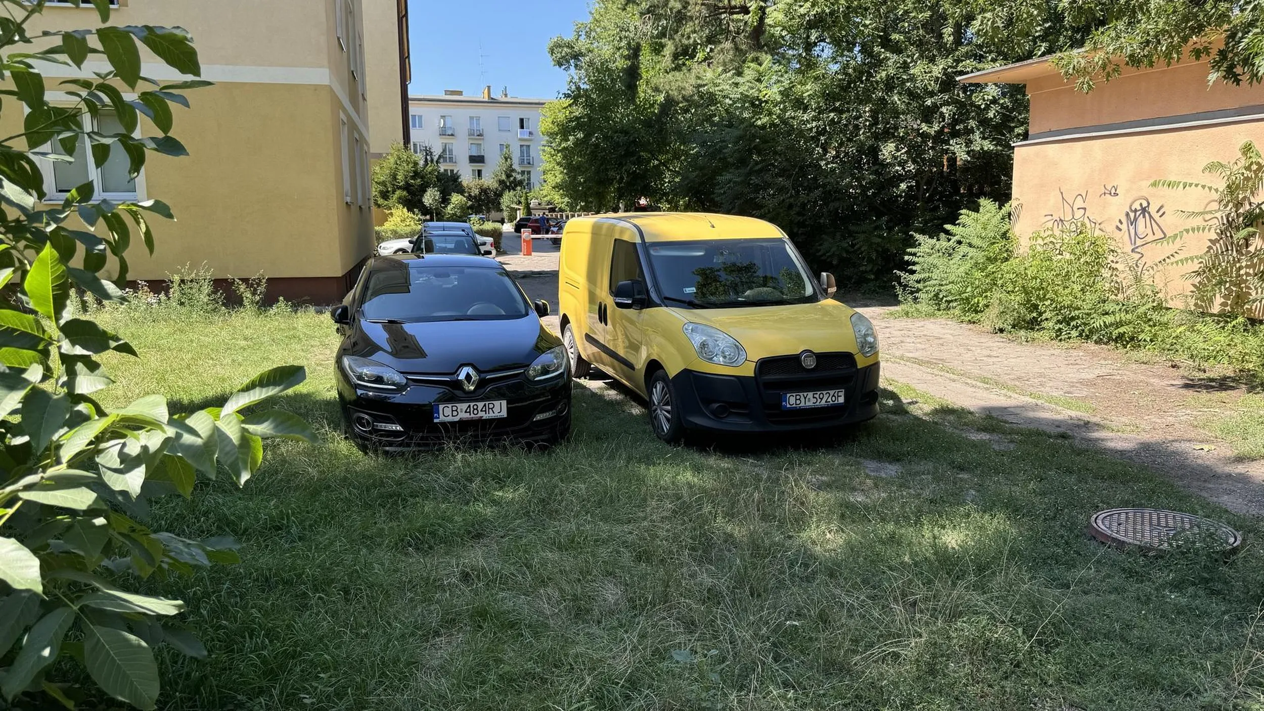 Parkowanie na trawniku na terenie parku