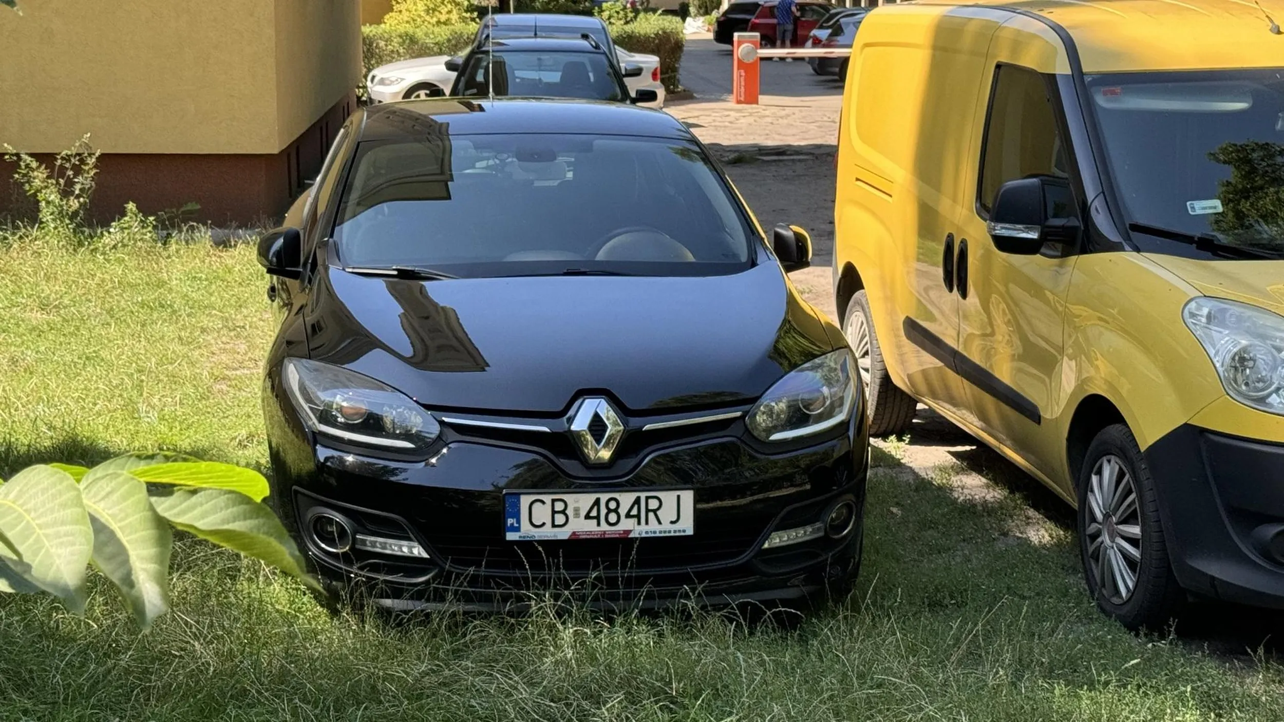 Parkowanie na trawniku na terenie parku