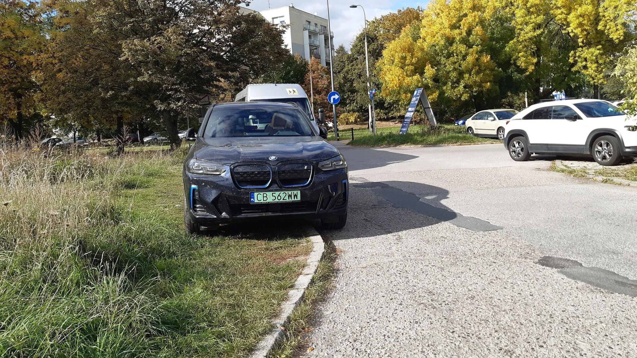 Świetne parkowanie na trawie, brawo...