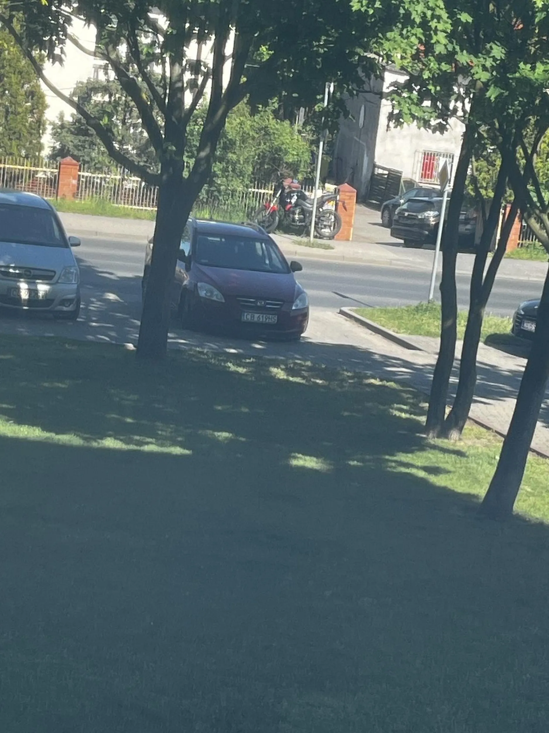 święta krowa staje na dwóch miejscach