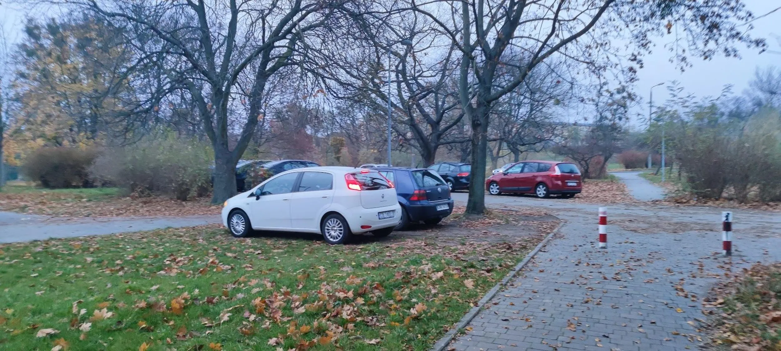 Paruwa nic sobie nie robi z trawnika, chodnika i słupków.