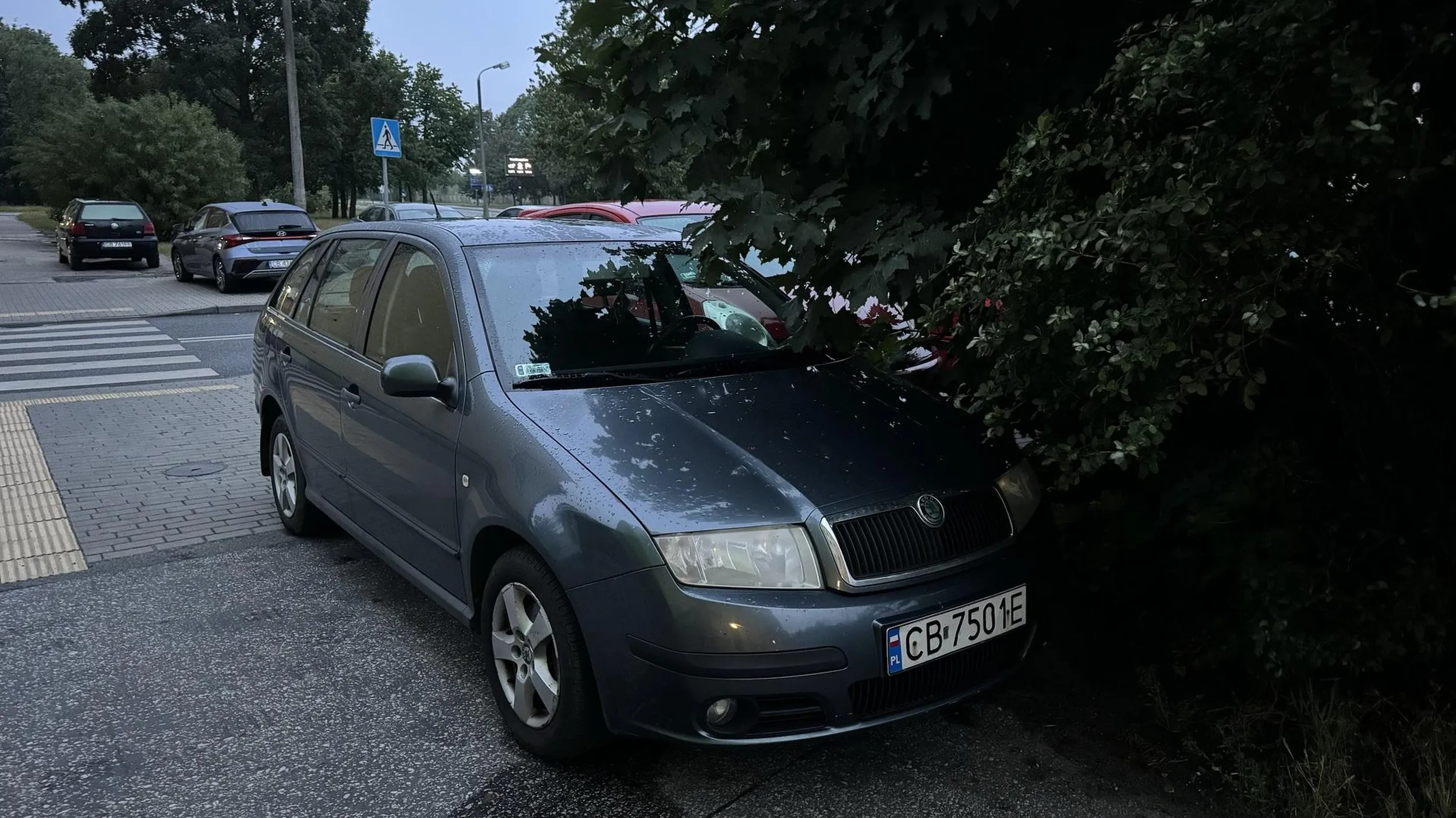 Pomylił przejście dla pieszych z parkingiem