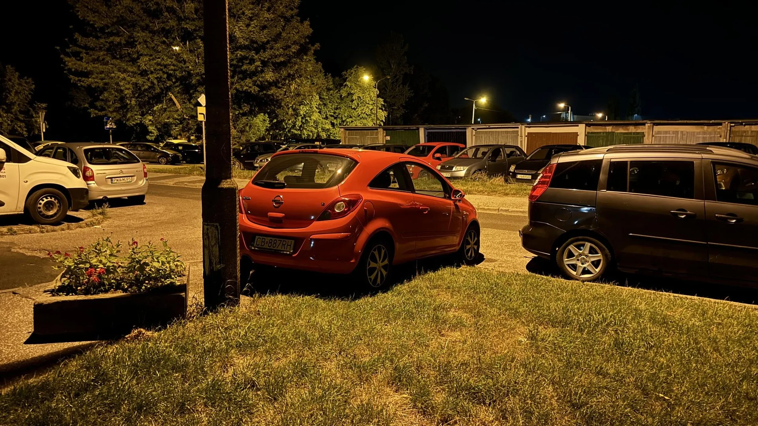 Przycupnął na trawniczku