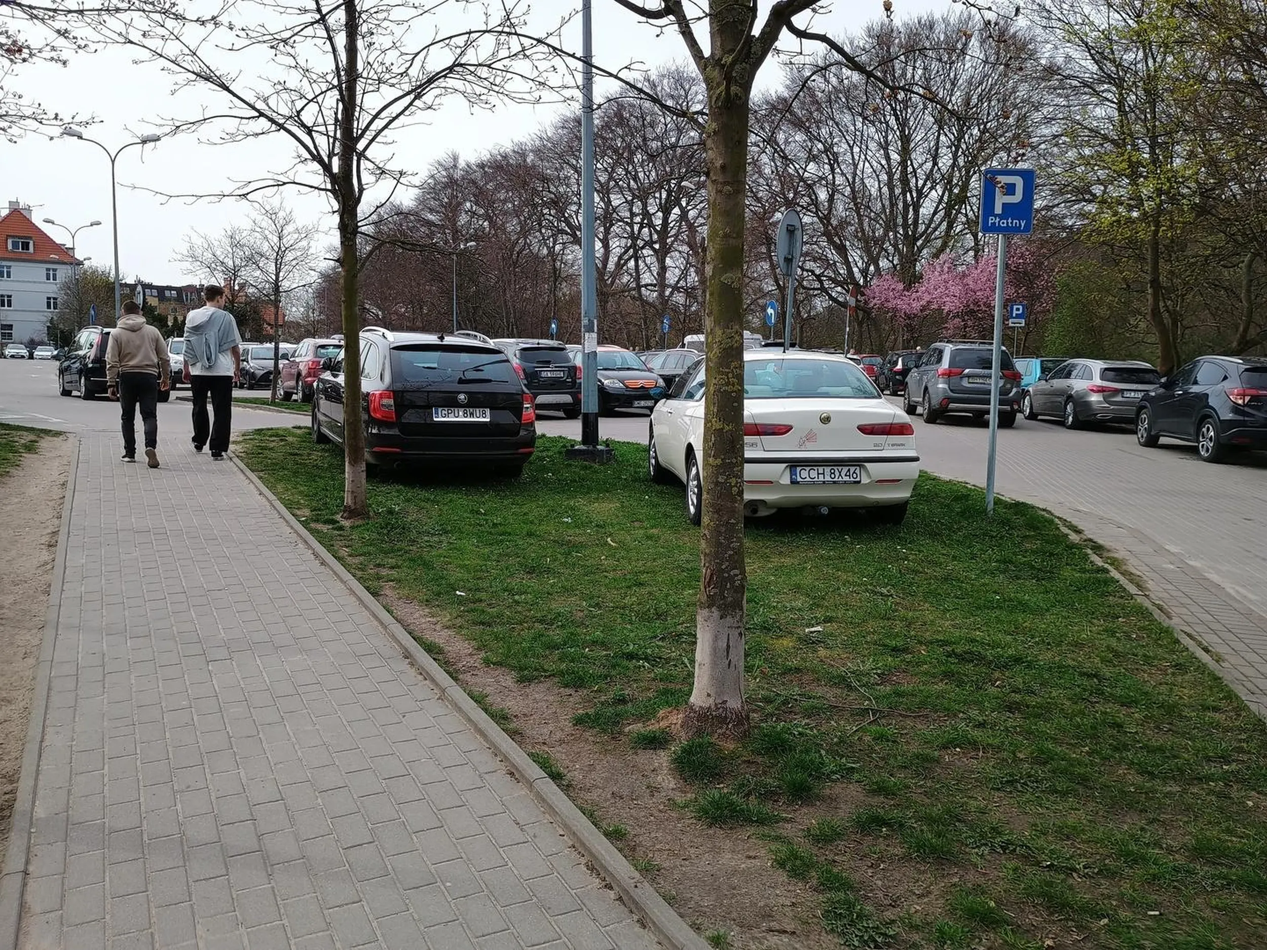 Kmiot uważa że jak nie ma miesca parkingowego, to stanie sobie na trawie swym gruzem. Niedziela 7.04.2024 Gdynia parking przy klifach, ulica Orłowska, godzina 15:29