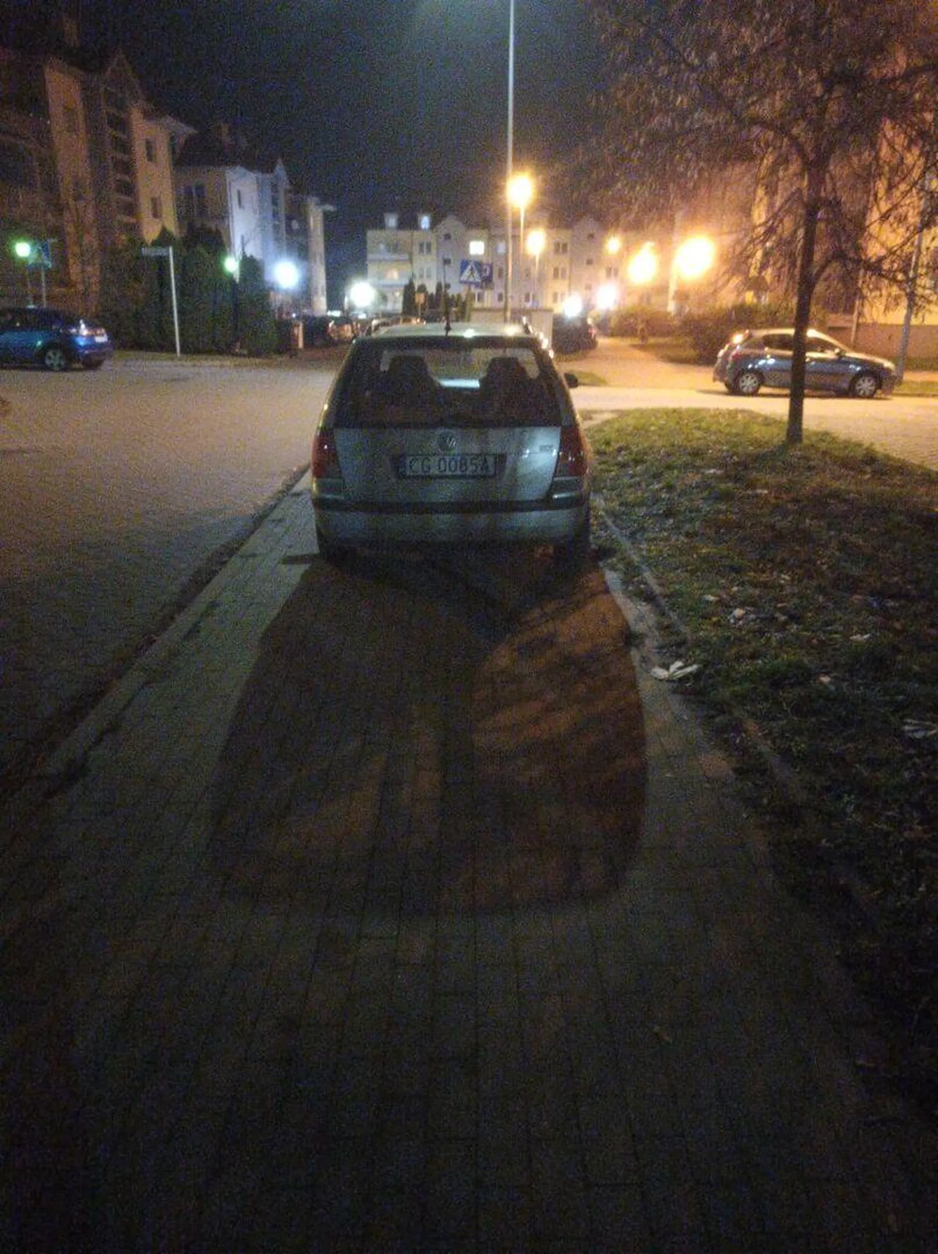 Palant parkuje CAŁYM samochodem na CHODNIKU
