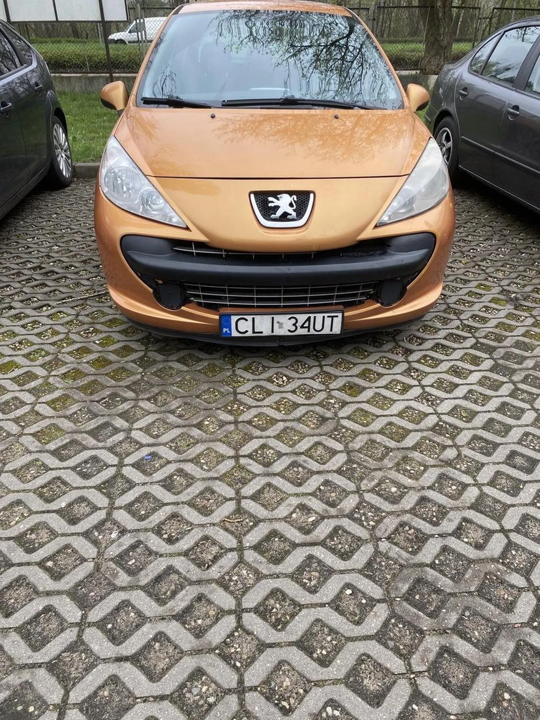 Cham bez fotelika jeździ