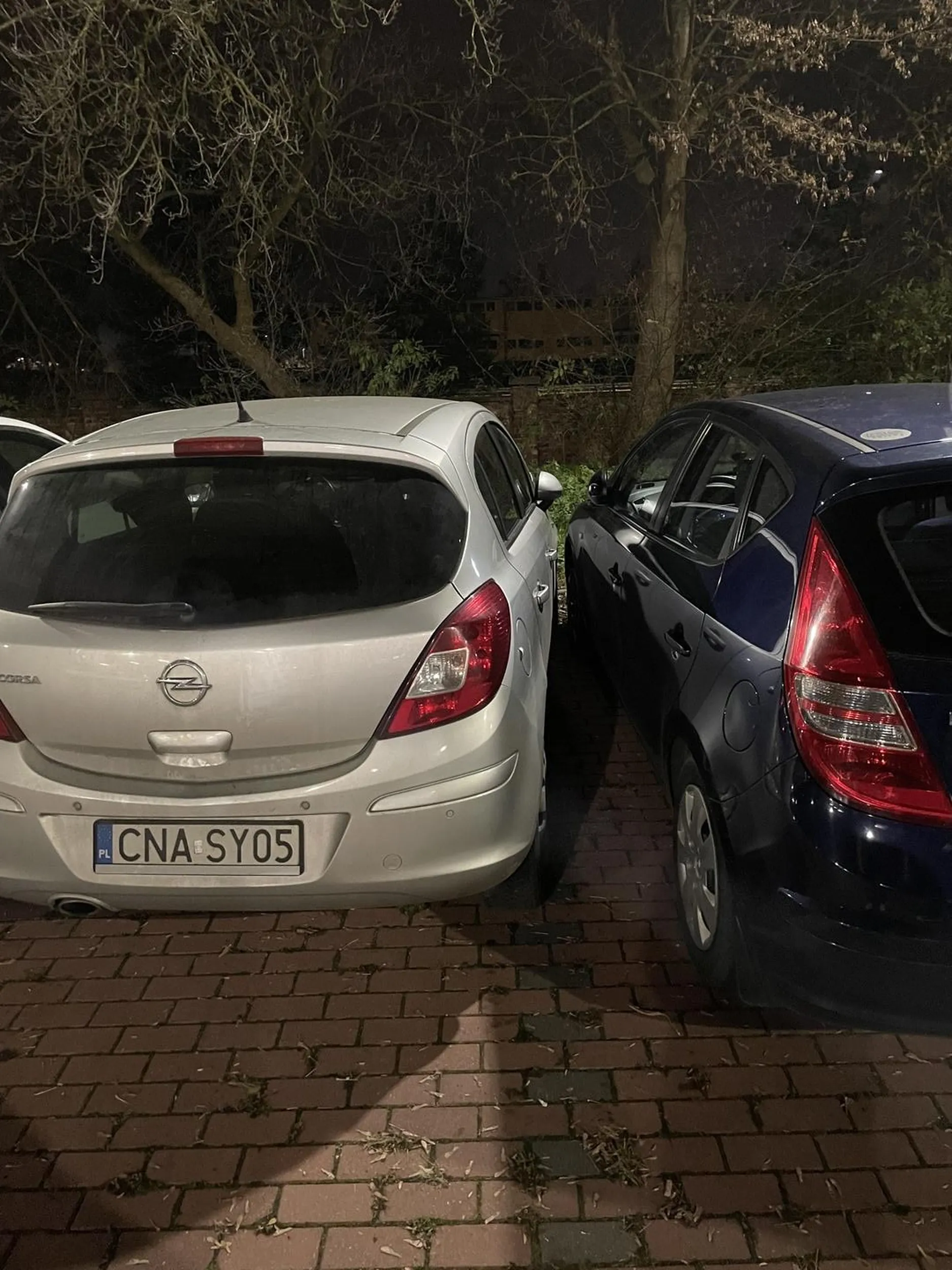 Czlowiek tragedia, parkuje jak mu sie podoba