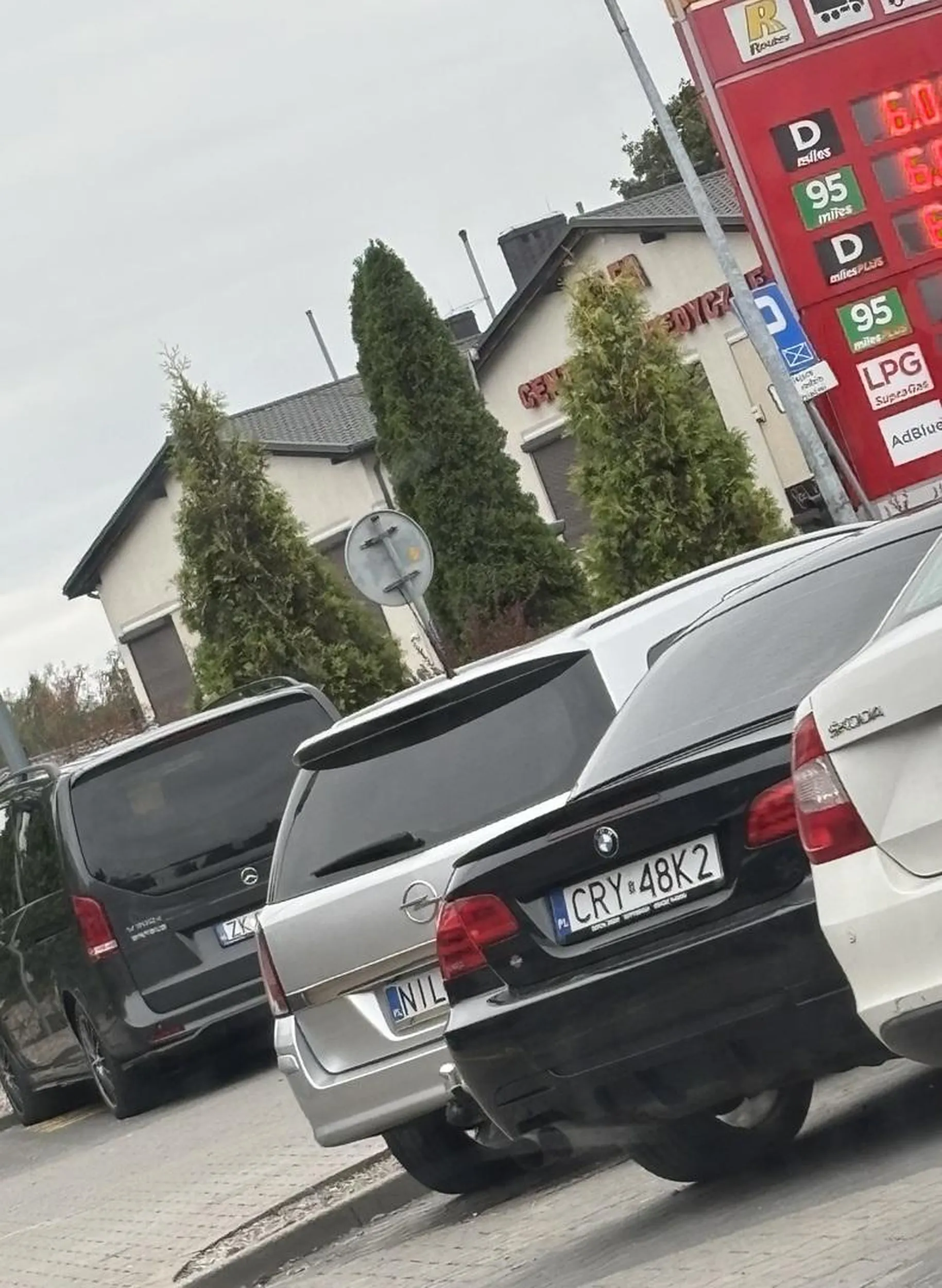 Rypsin w wielkim mieście