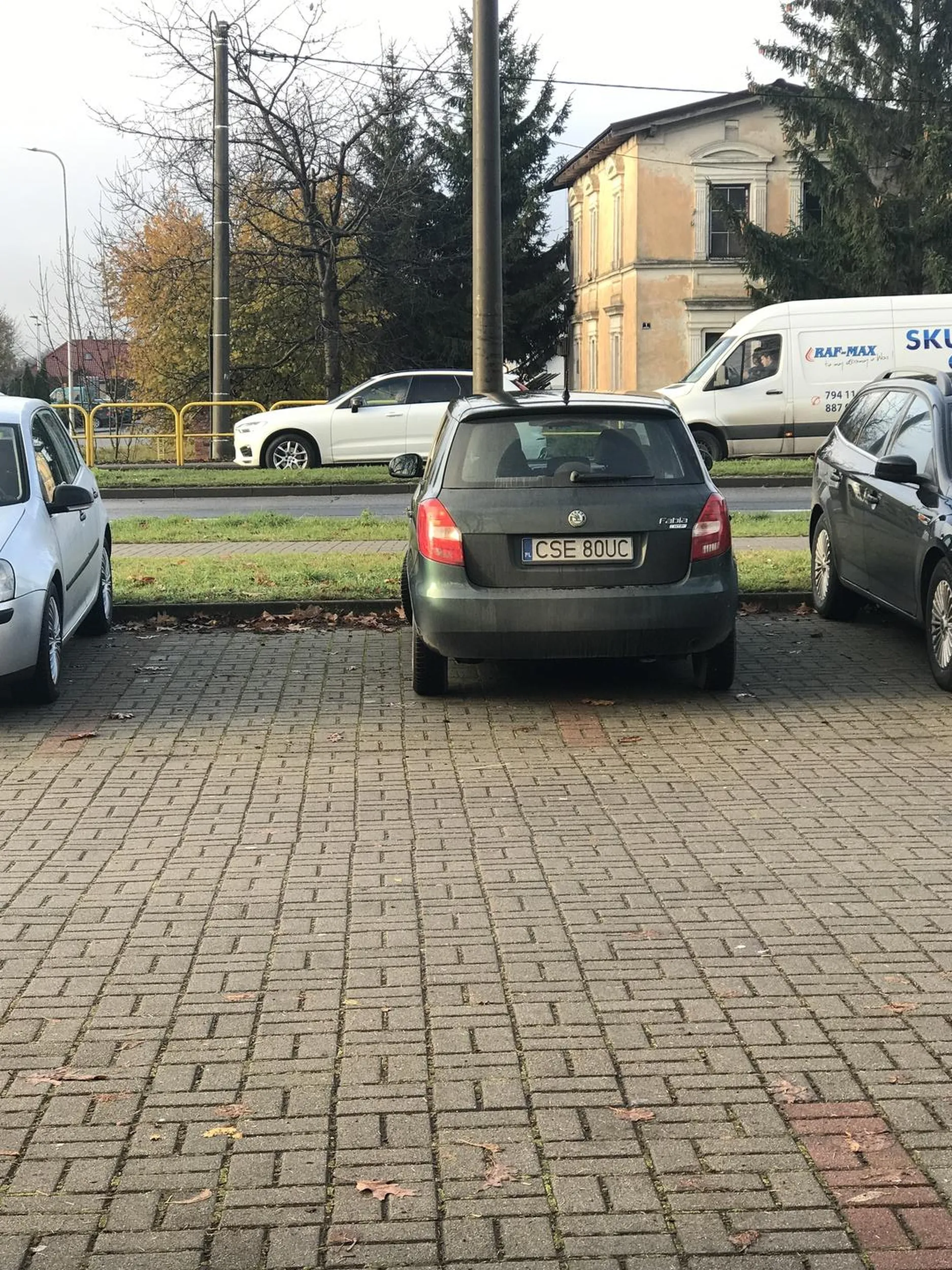 Mistrzyni parkowania