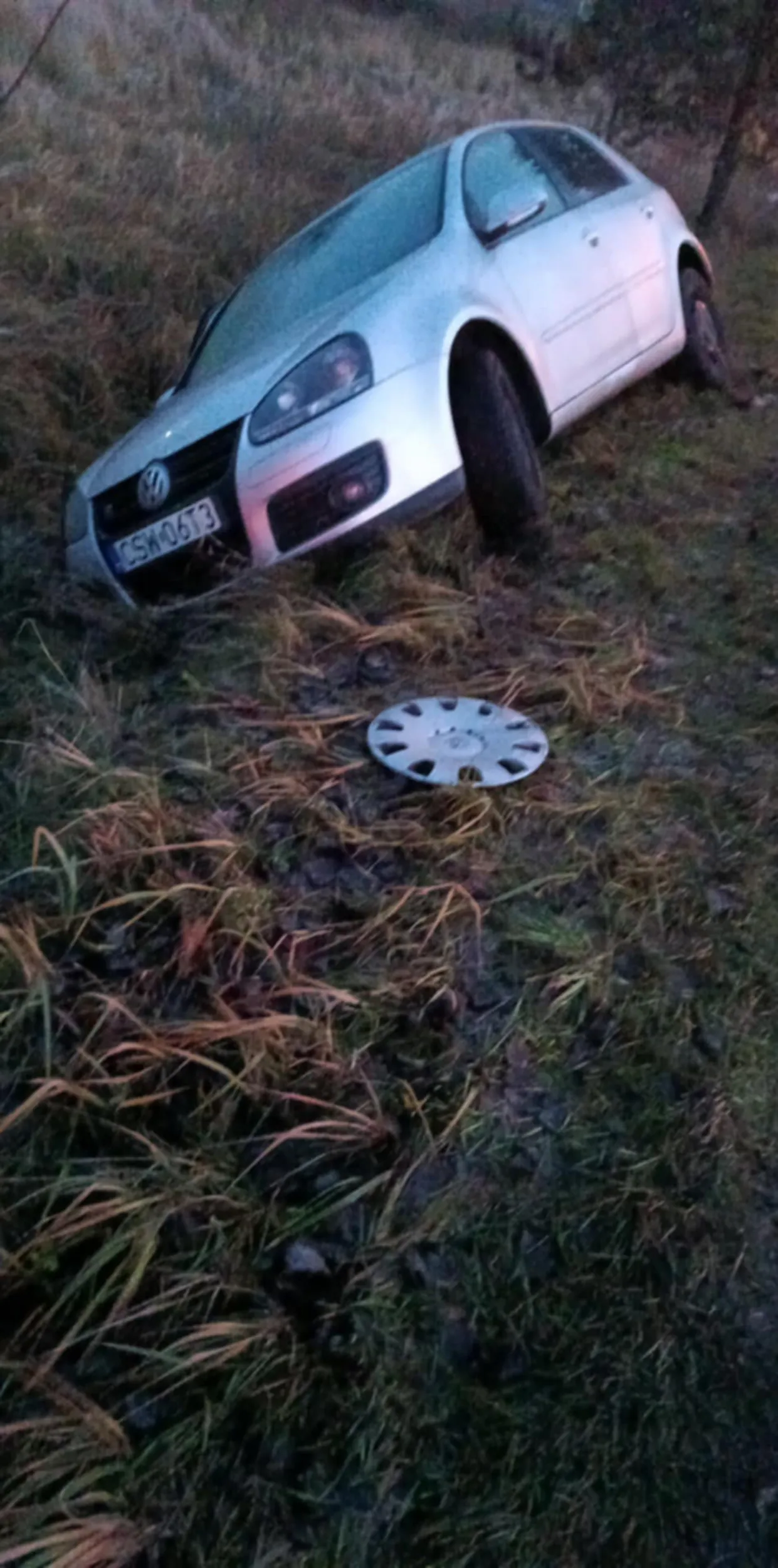 Znaleziony w krzakach