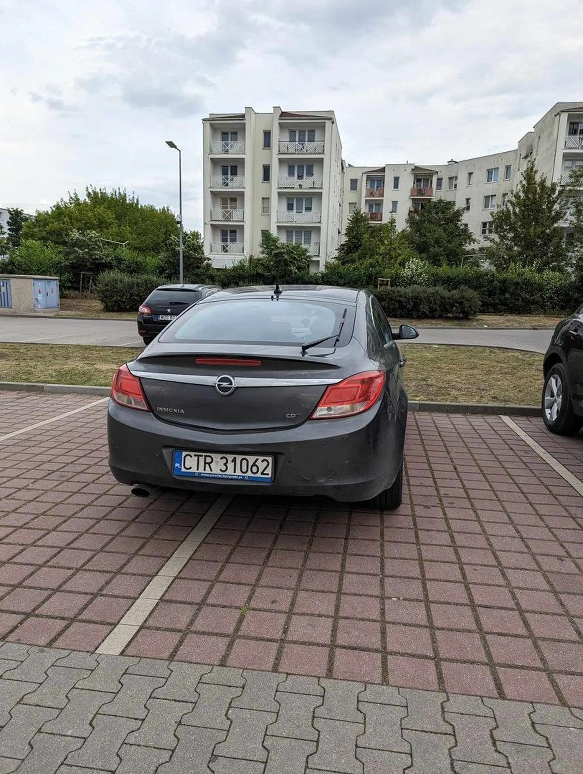 królewicz 2 miejsca zajmuje