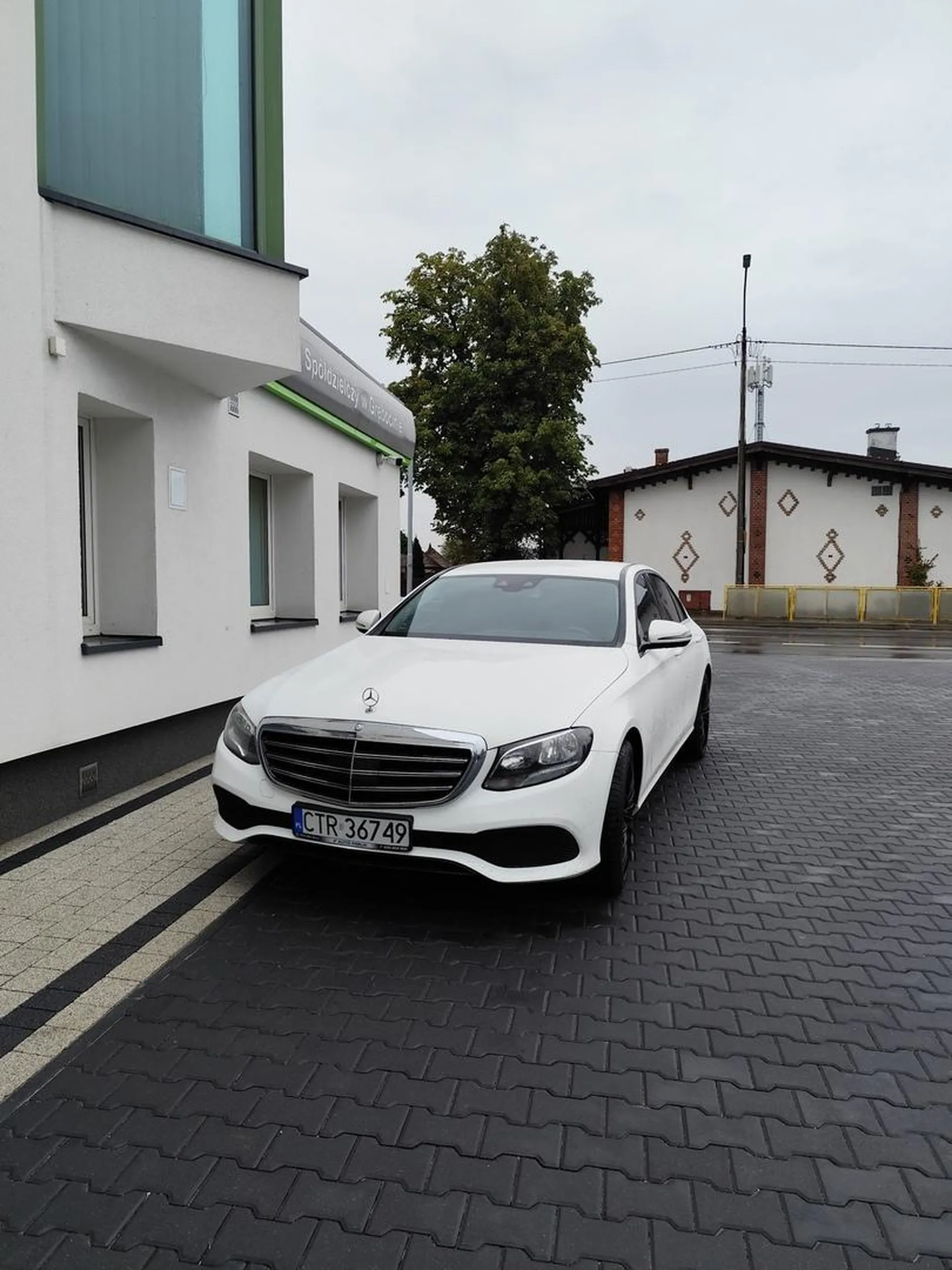 Burak nie potrafiący parkować, do tego nie zwracający uwagi na pieszych. Słoma z butów wystawała.