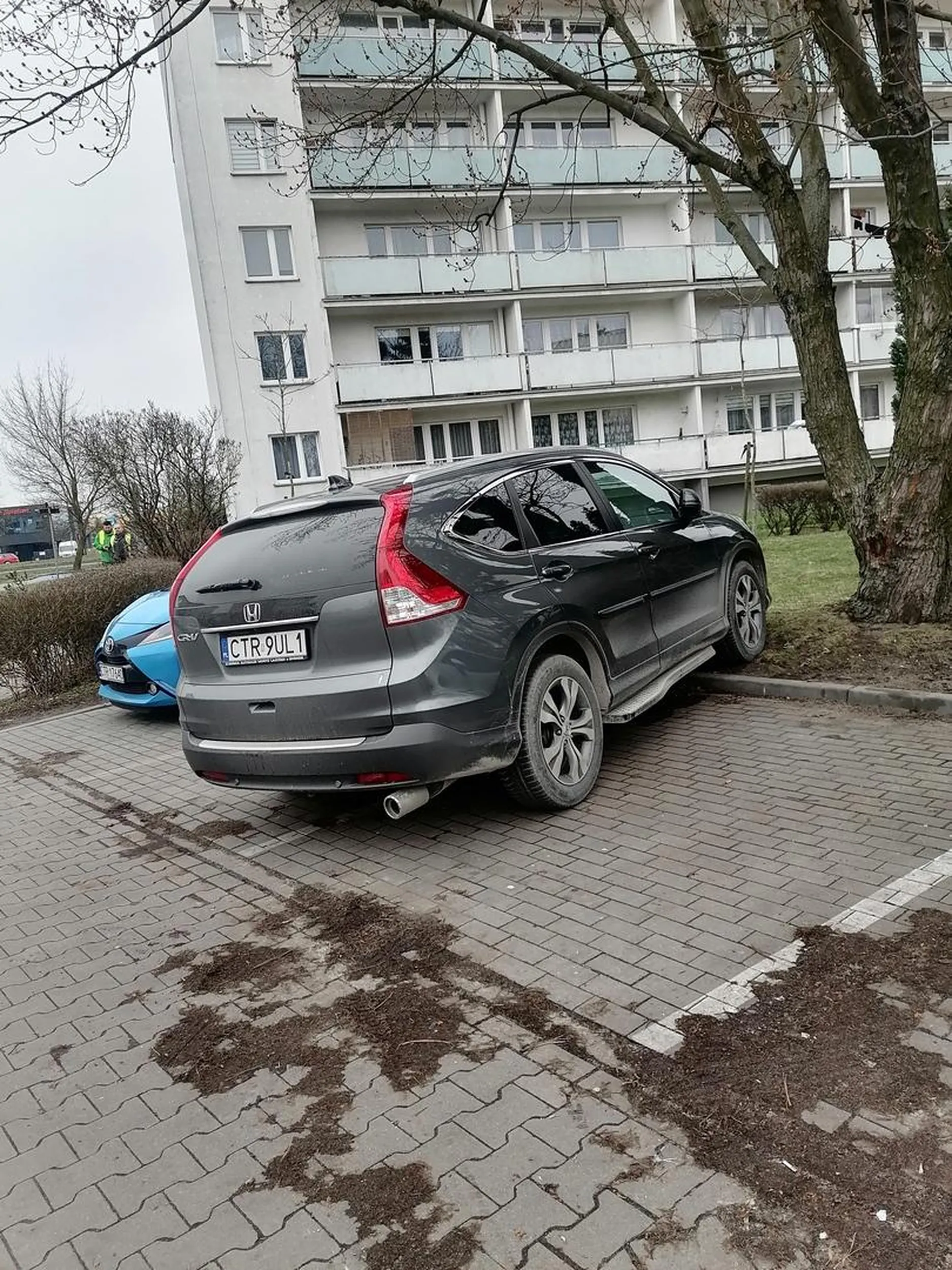 Mistrz parkowania zajął aż 2 miejsca mało tego nie zmieścił się i wjechał na trawnik to się nazywa mistrzostwo radzę  wrócic  na kurs prawa jazdy i do szkoły podstawowej nauczyć się liczyć  i przy okazji wymień auto na małego Ciroena lub najlepiej na hulajnoge skoro nie mieścisz się w gabarytach i nie znasz swoich możliwości z parkowania pozdrawiam