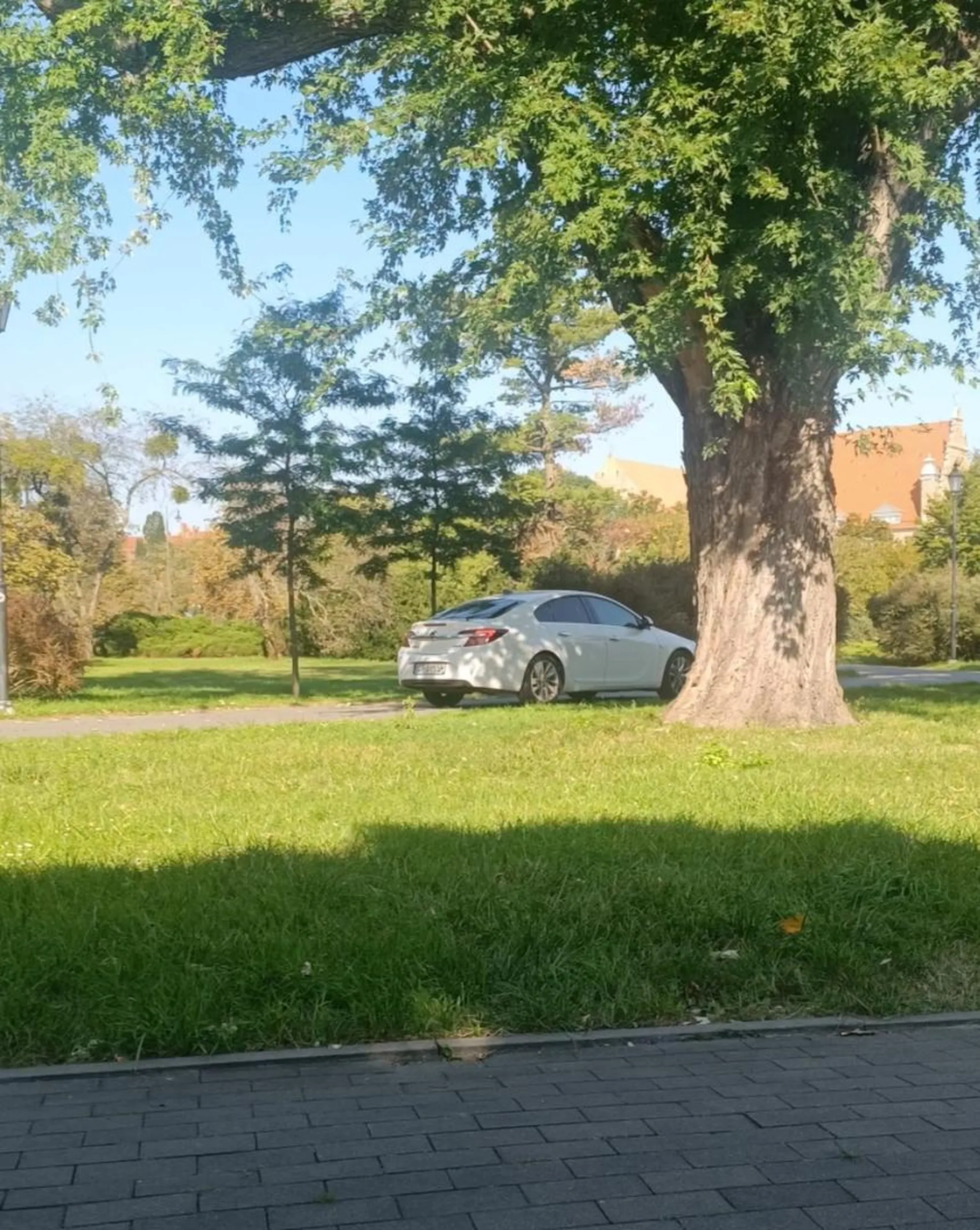 Pojeb jeździ po parku