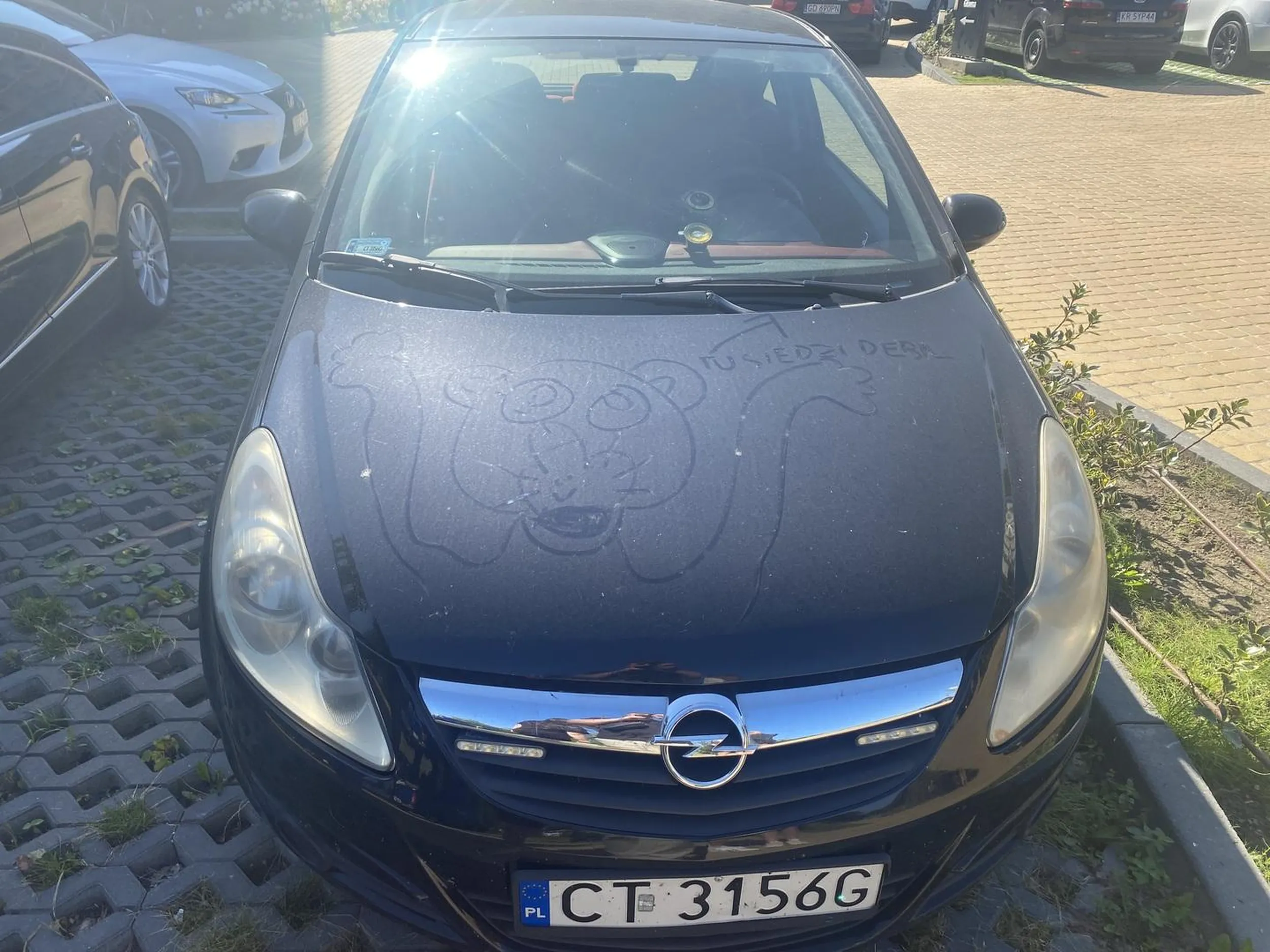 Dzień Dobry, ewidentnie ktoś pani zrobił psikusa.