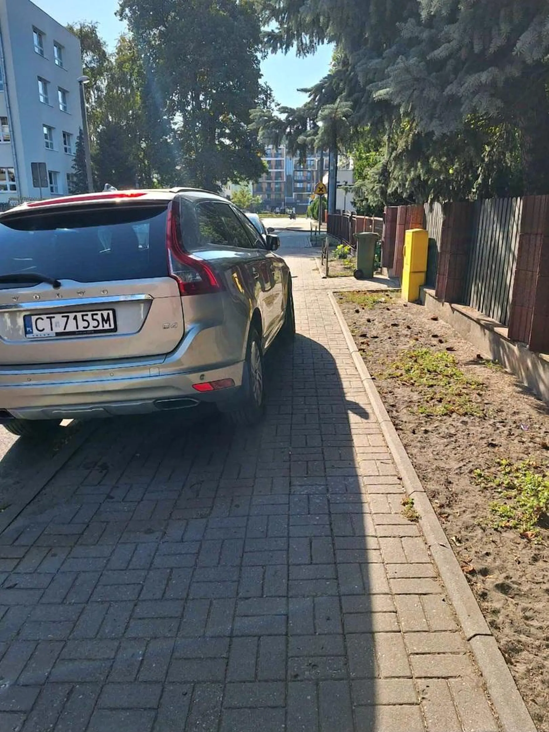 Kolejny z serii Mam prawko z chipsów