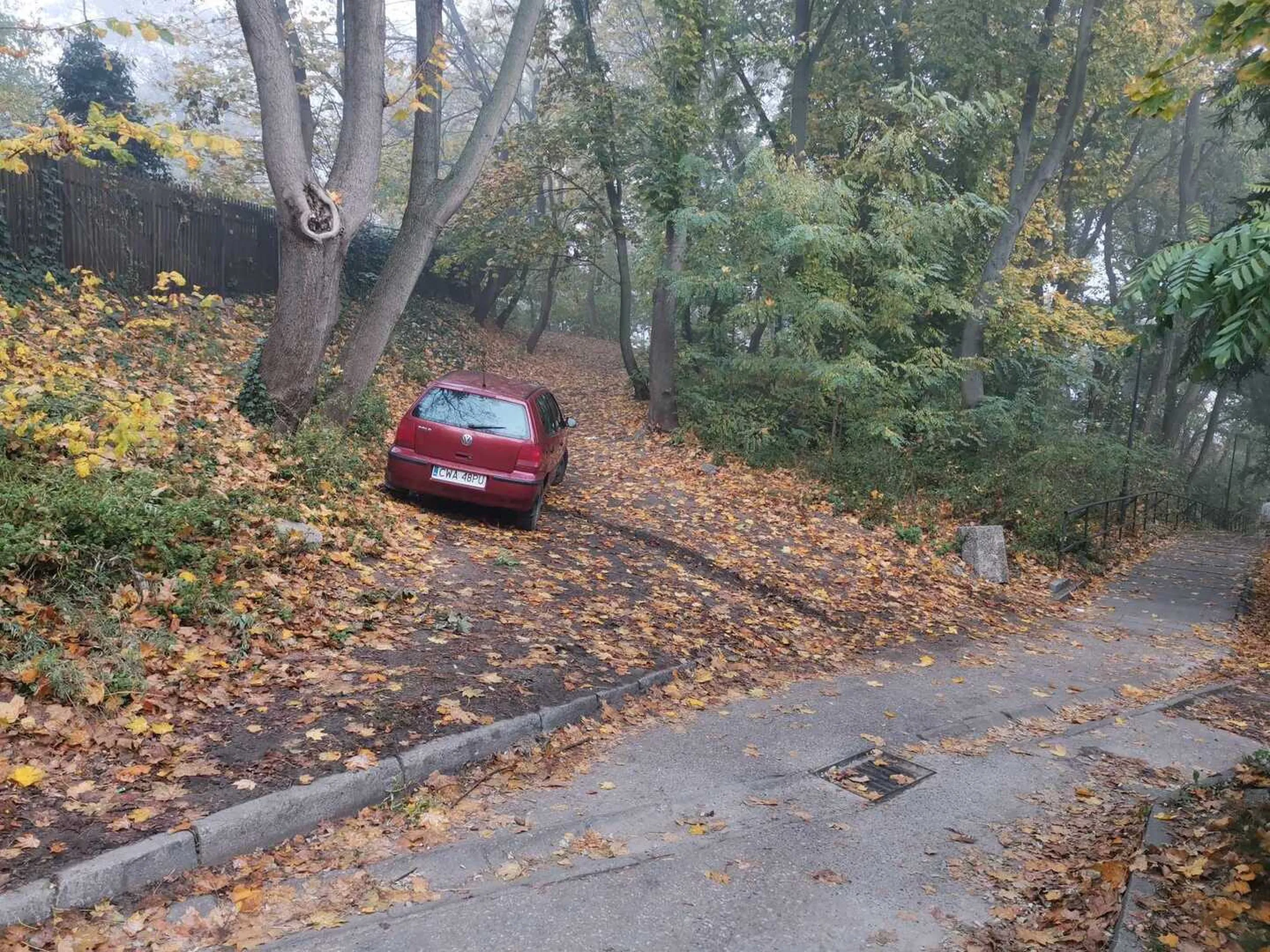 Wjechał w park i tak stoi.