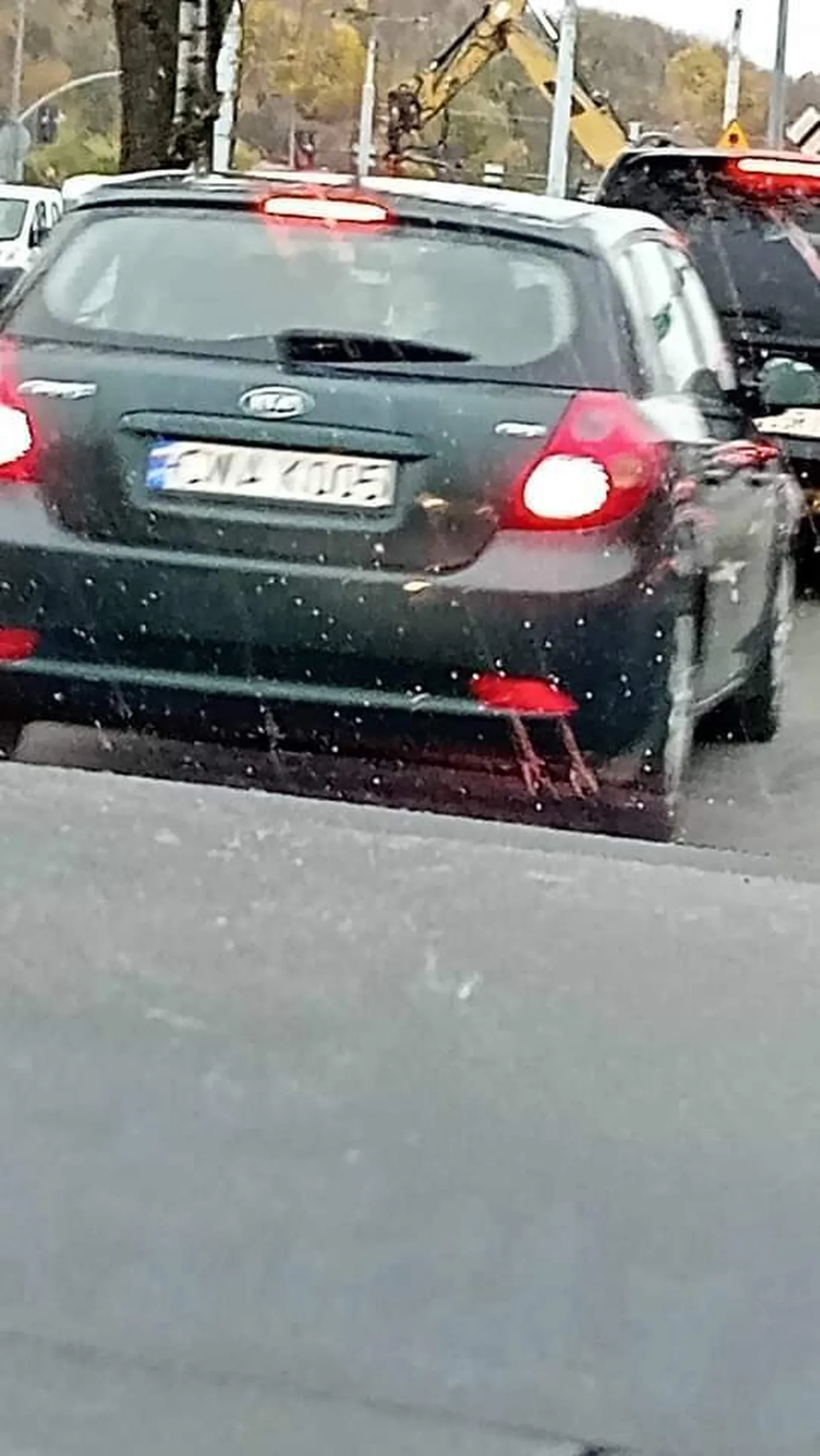 Nieoznakowany, robią wały  z podatkami bo blachy mogą być starsze o 3msc od auta (kia ceed 1 zaczęła być dostępna od sierpnia 2006 a od 1 maja nie bylo juz rejestracji z PL flagą)