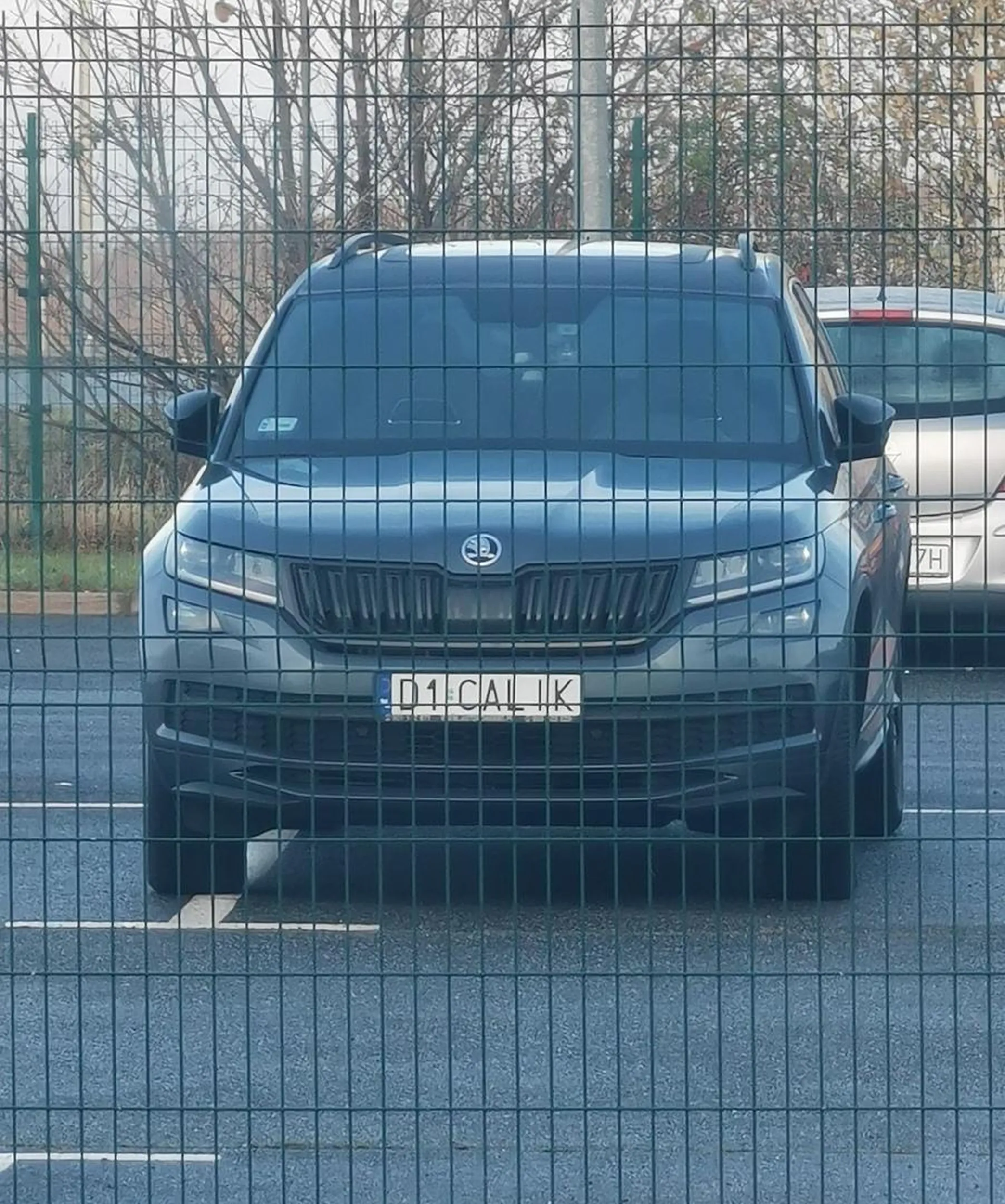 Ktoś miał problem w zerówce utrzymania kredki między liniami i zostało mu to do dzisiaj. Typ codziennie tak parkuje