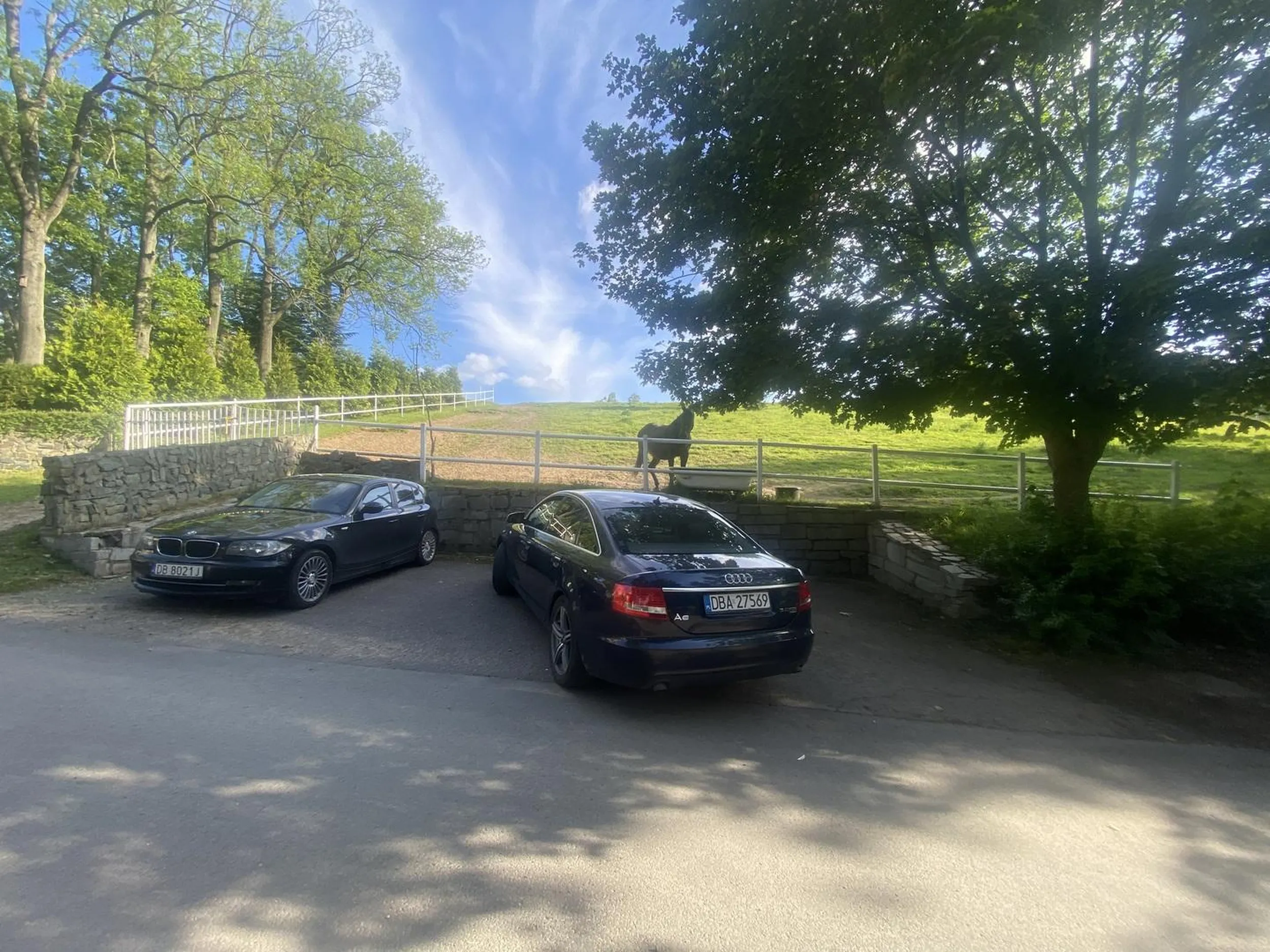 gratuluję umiejętności parkowania