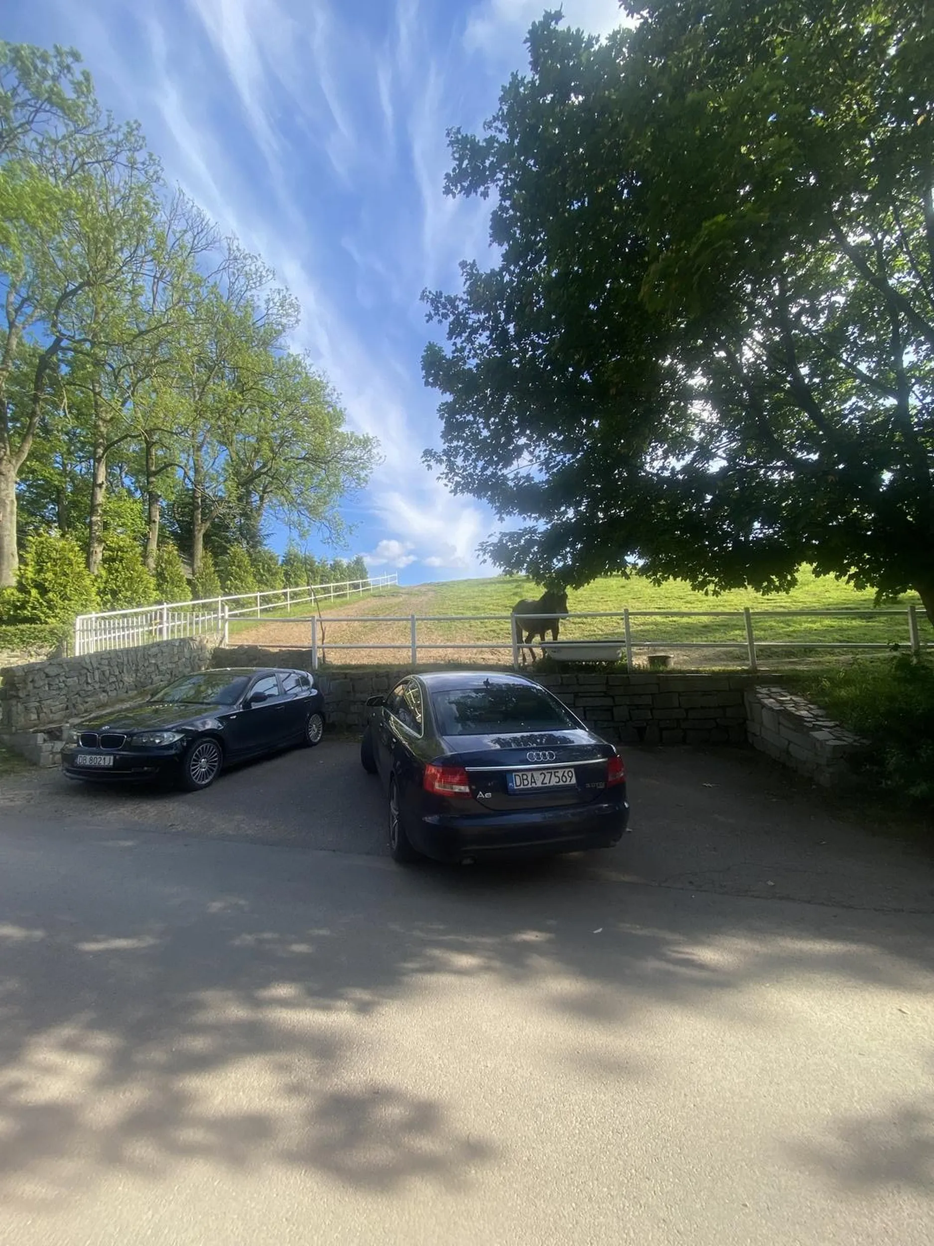 gratuluję umiejętności parkowania