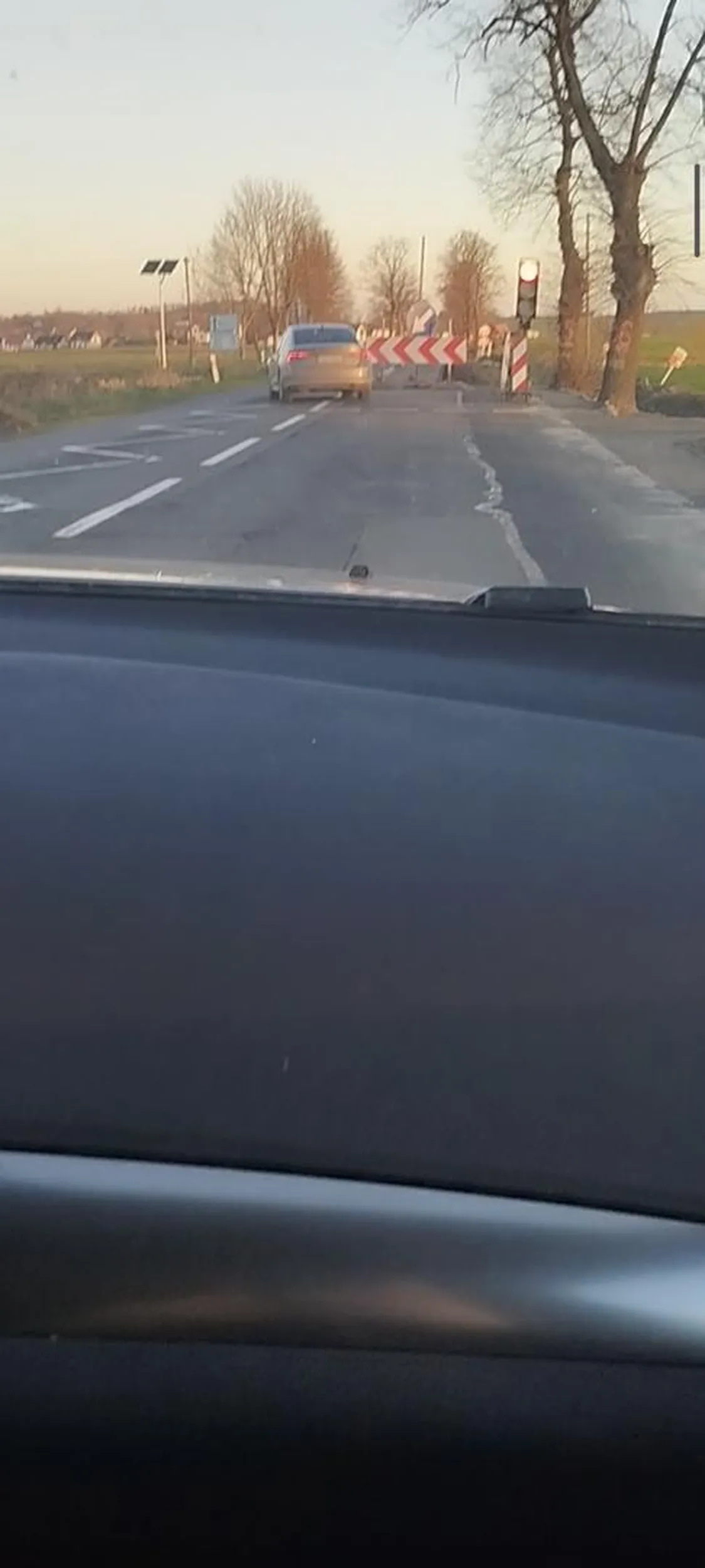 Małpi ryj jeżdżący na czerwonym.