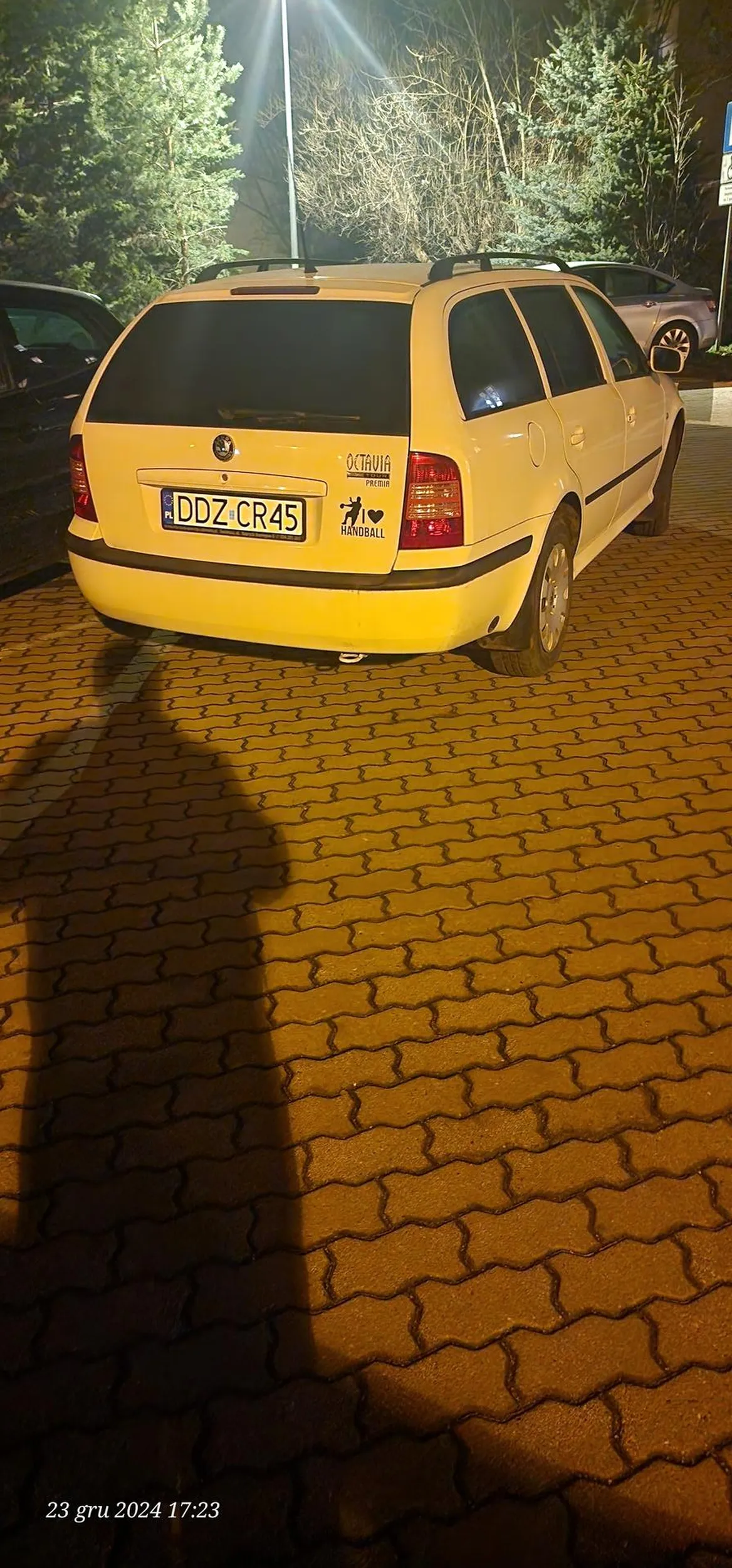 Naucz się parkować..  stajesz poza wyznaczonym miejscem, a wiele osób odjeżdża dookoła, żeby wyjechać szybciej z parkingu (bez dokladania kilkuset metrow). Oby tez Ci ktoś zastawił wyjazd !