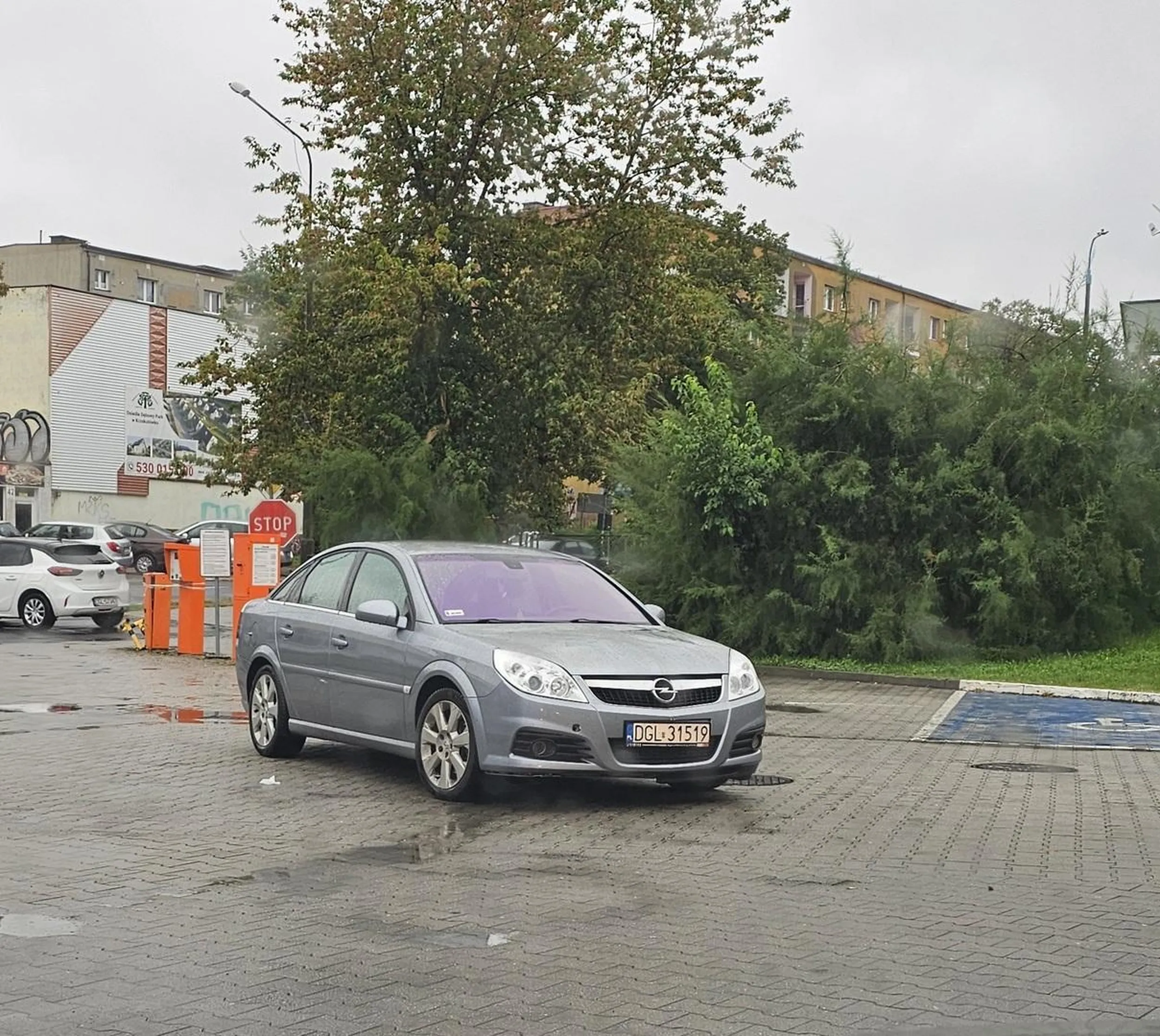 Pięknie bażant zaparkował .....