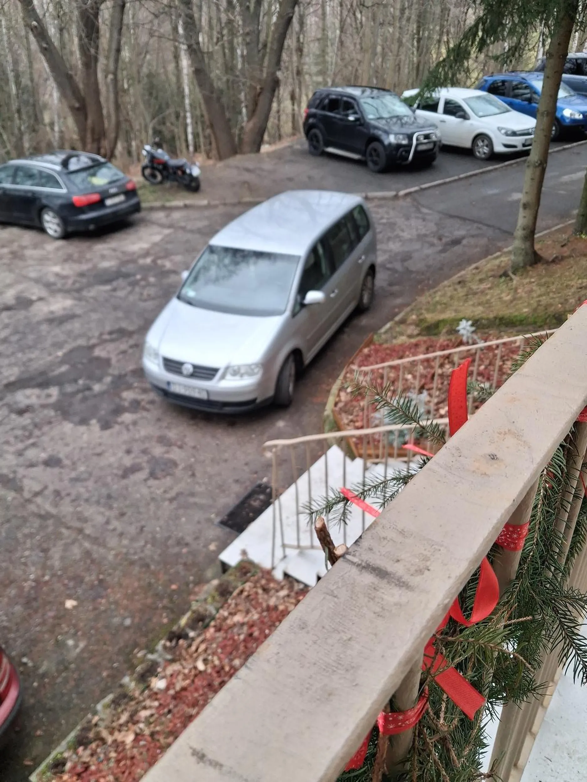 Proszę NAUCZ się parkować swoim gruzem pod tym LEŚNIKIEM kobieto.